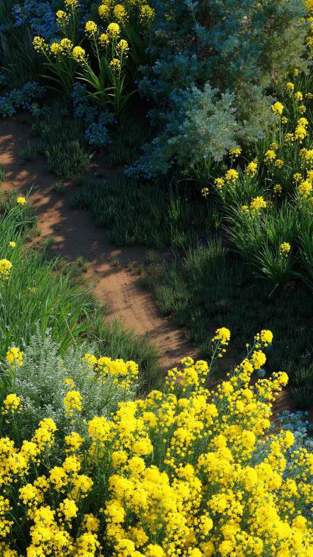 sunny days wallpaper, wildflowers, flower season, background for mobile wallpaper (vertical)
