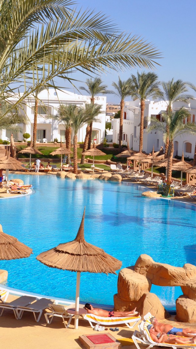 Tropicana Rosetta & Jasmine Club, Best Hotels of 2017, tourism, travel, resort, vacation, pool, palms, sunbed (vertical)