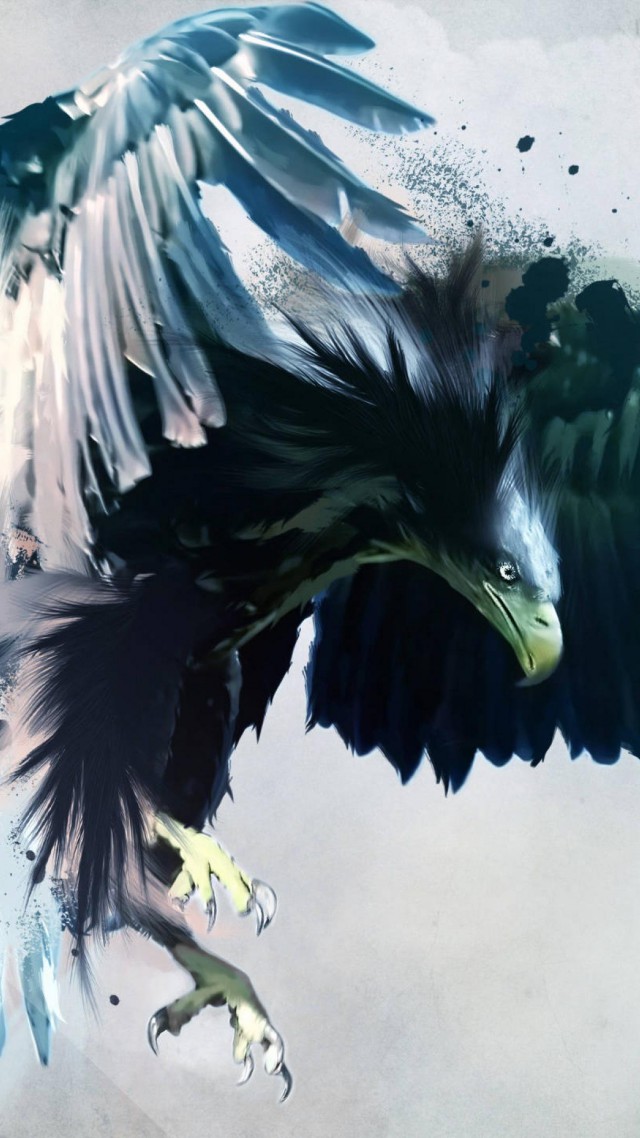 eagle, flight, draft (vertical)