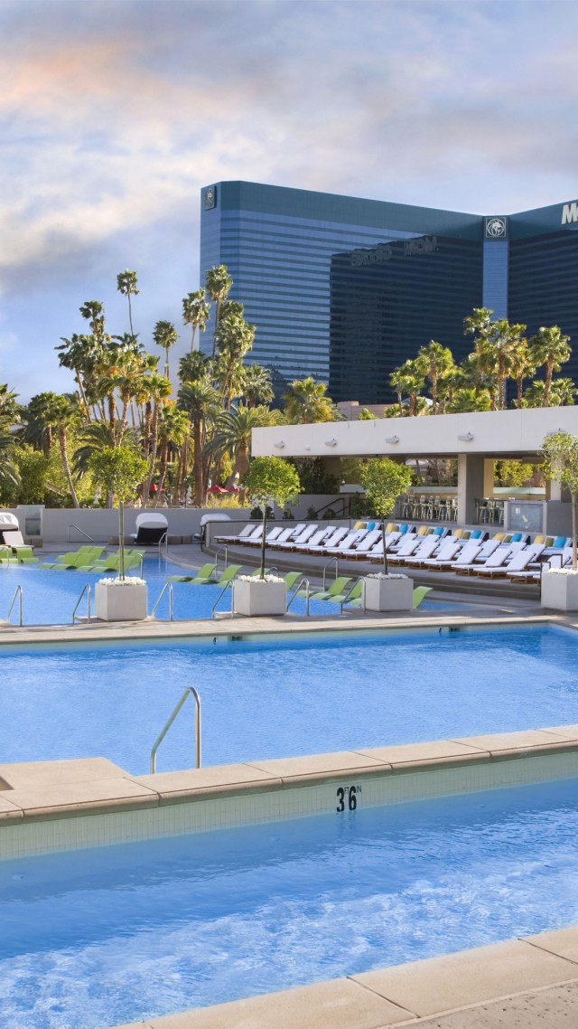 Wet Republic Las Vegas, The best hotel pools 2017, tourism, travel, resort, vacation, pool, water, sunbed (vertical)