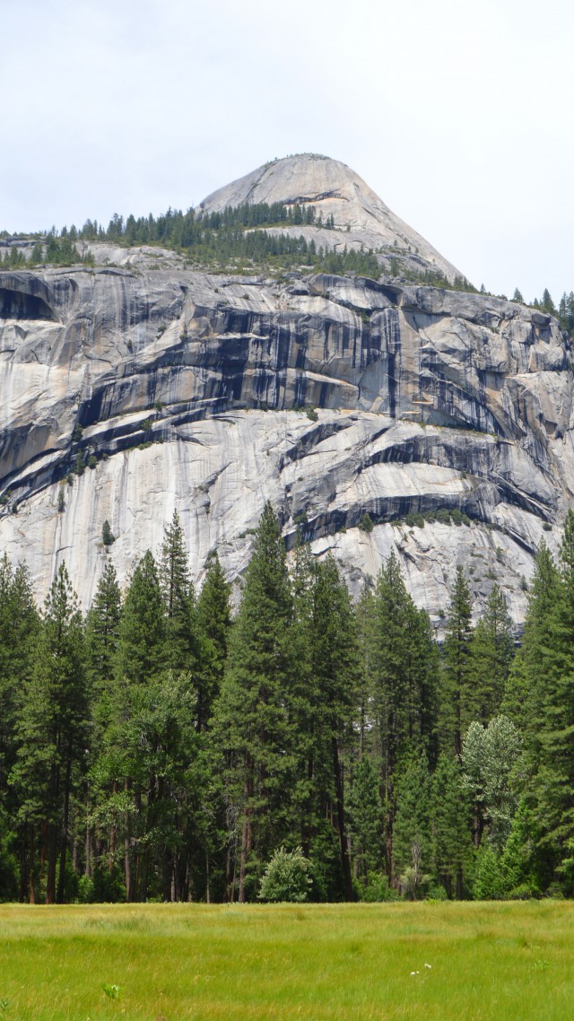 Yosemite, 5k, 4k wallpaper, 8k, forest, OSX, apple, mountains (vertical)