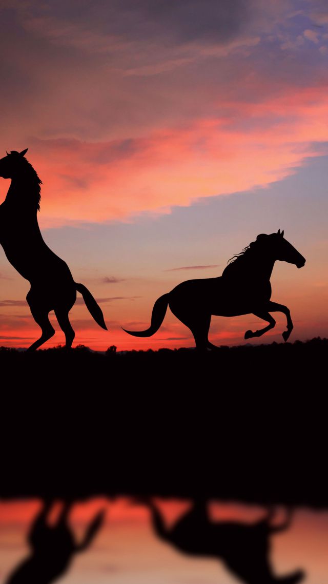 Horse, night, sunset, cute animals (vertical)