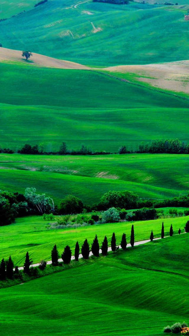 Tuscany, 4k, HD wallpaper, Italy, Meadows, hills, pines, trees (vertical)