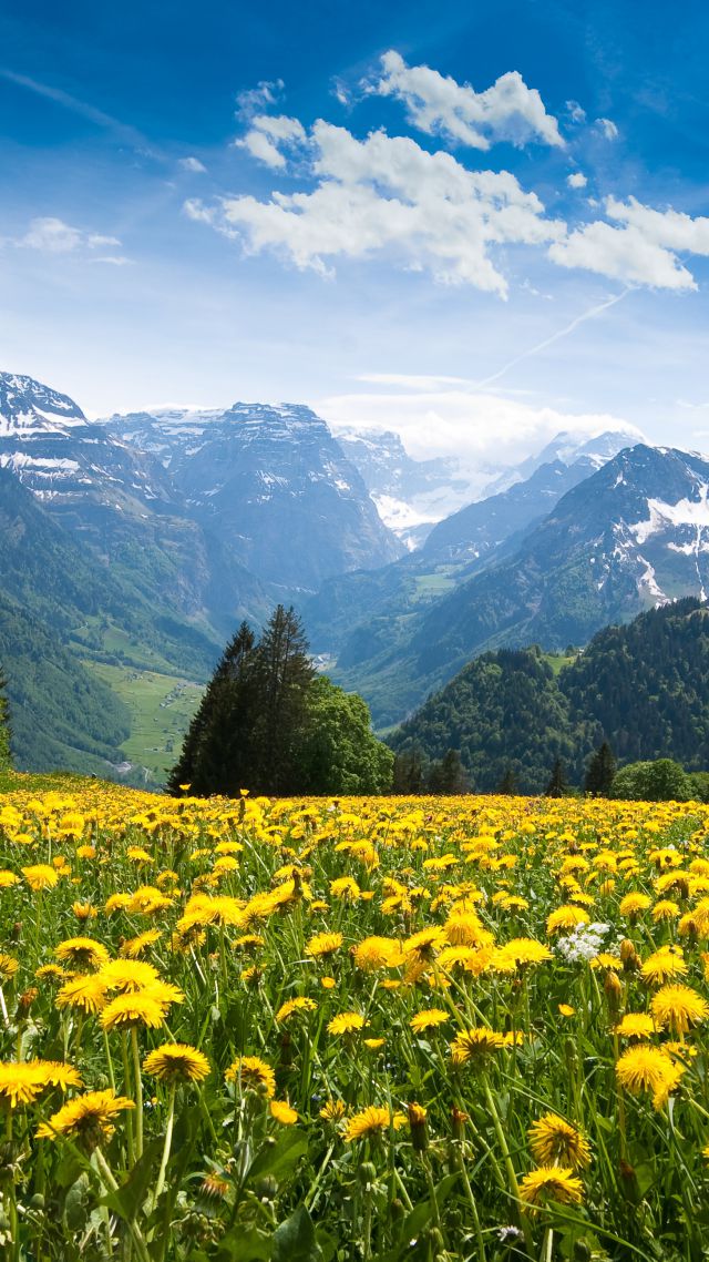 Alps, 4k, HD wallpaper, France, mountains, dandelion, meadows, sky (vertical)