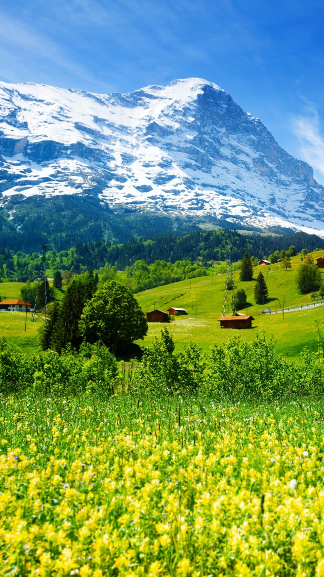 Switzerland, 5k, 4k wallpaper, mountains, meadows, wildflowers (vertical)