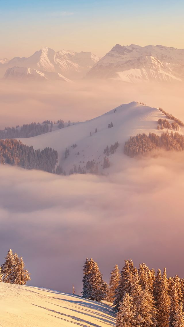 Alps, 5k, 4k wallpaper, Switzerland, mountains, clouds, pines (vertical)
