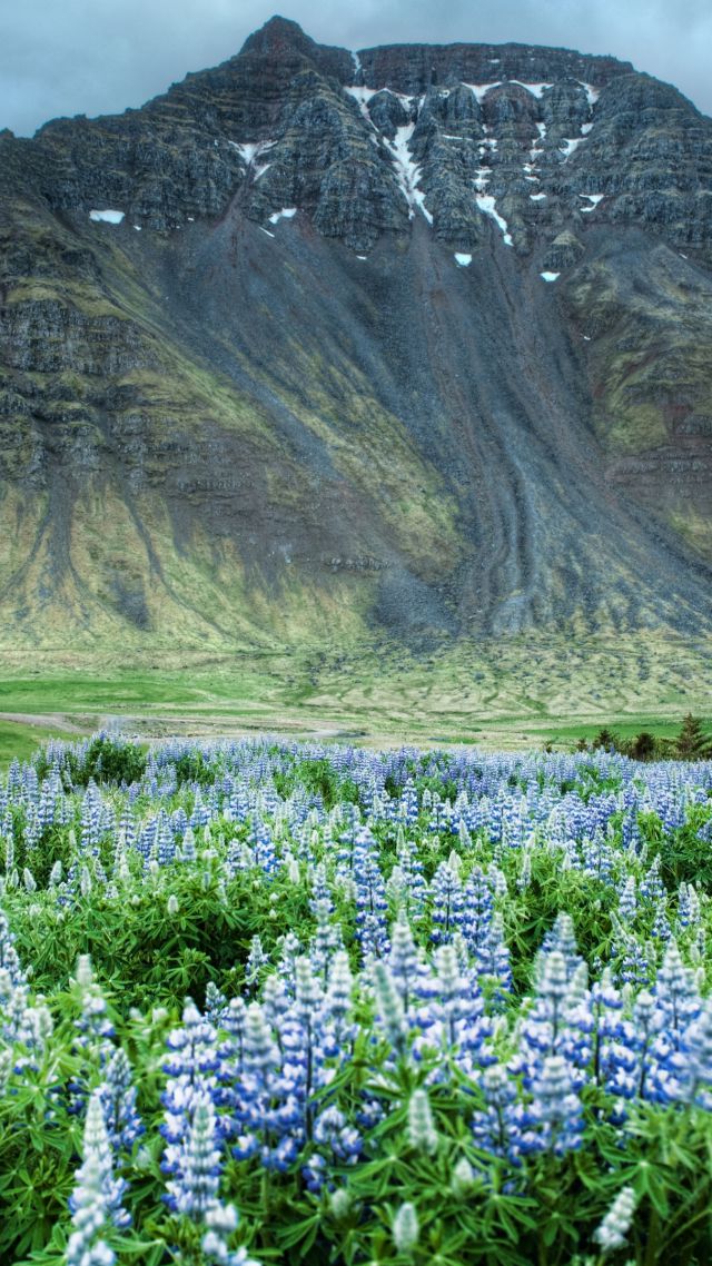 Valley of Flowers, 5k, 4k wallpaper, Himalayas, Mountains, meadows, wildflowers (vertical)
