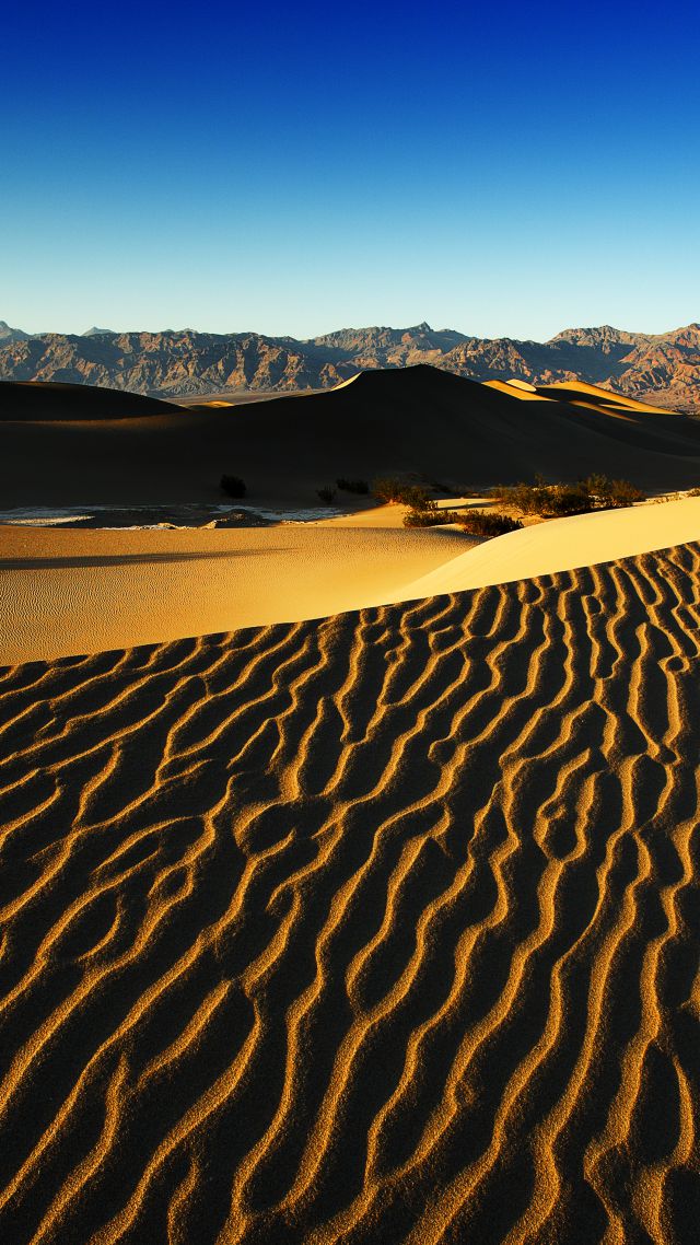 Death Valley, 4k, 5k wallpaper, 8k, USA, Desert, Dunes, sand (vertical)