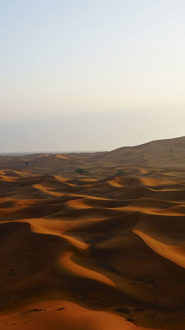 Desert, 5k, 4k wallpaper, Dawn, sky, 2015 Sony World Photography Awards (vertical)