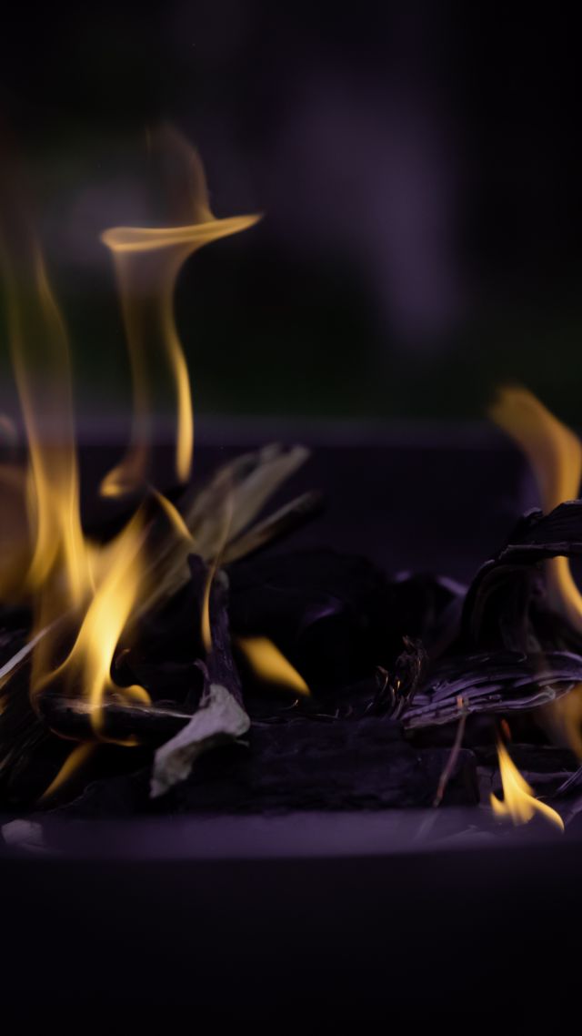 Fire, flame, macro, bonfire (vertical)