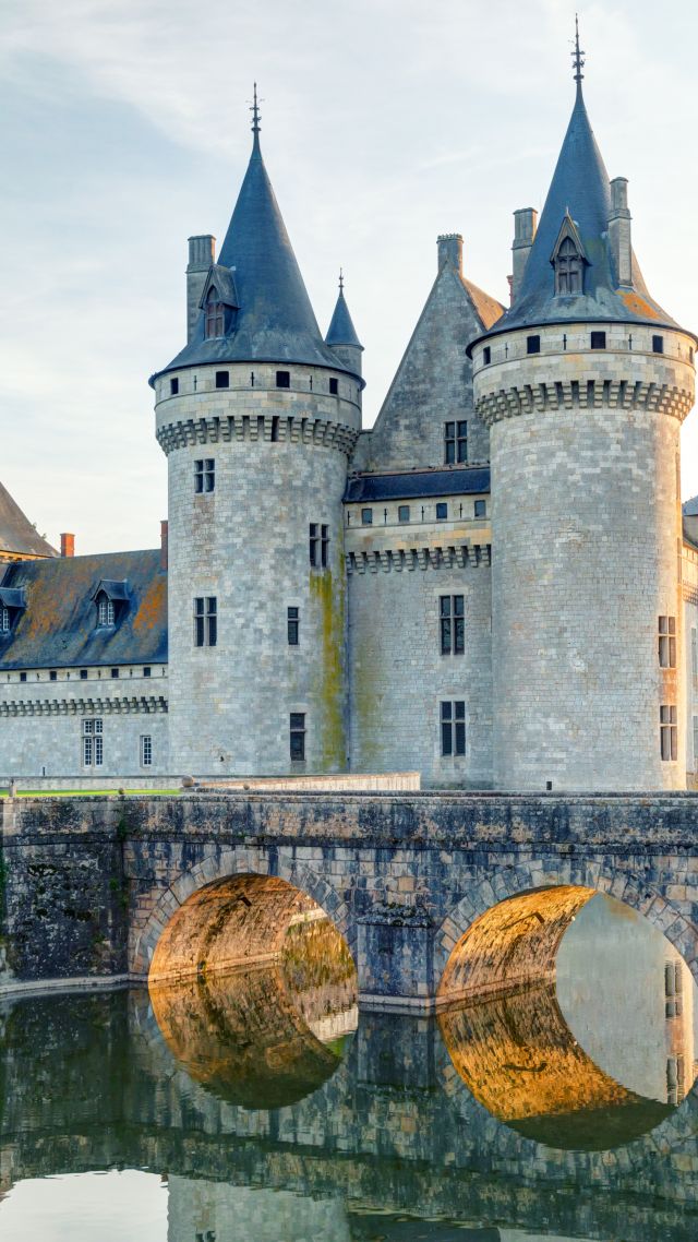Chateau de sully-sur-loire, France, castle, travel, tourism (vertical)