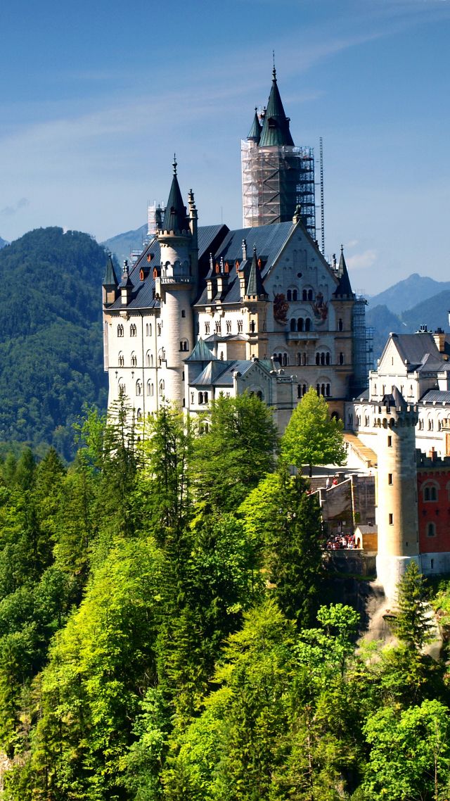 Neuschwanstein Castle, Bavaria, Germany, Alps, mountain, castle, travel, tourism (vertical)