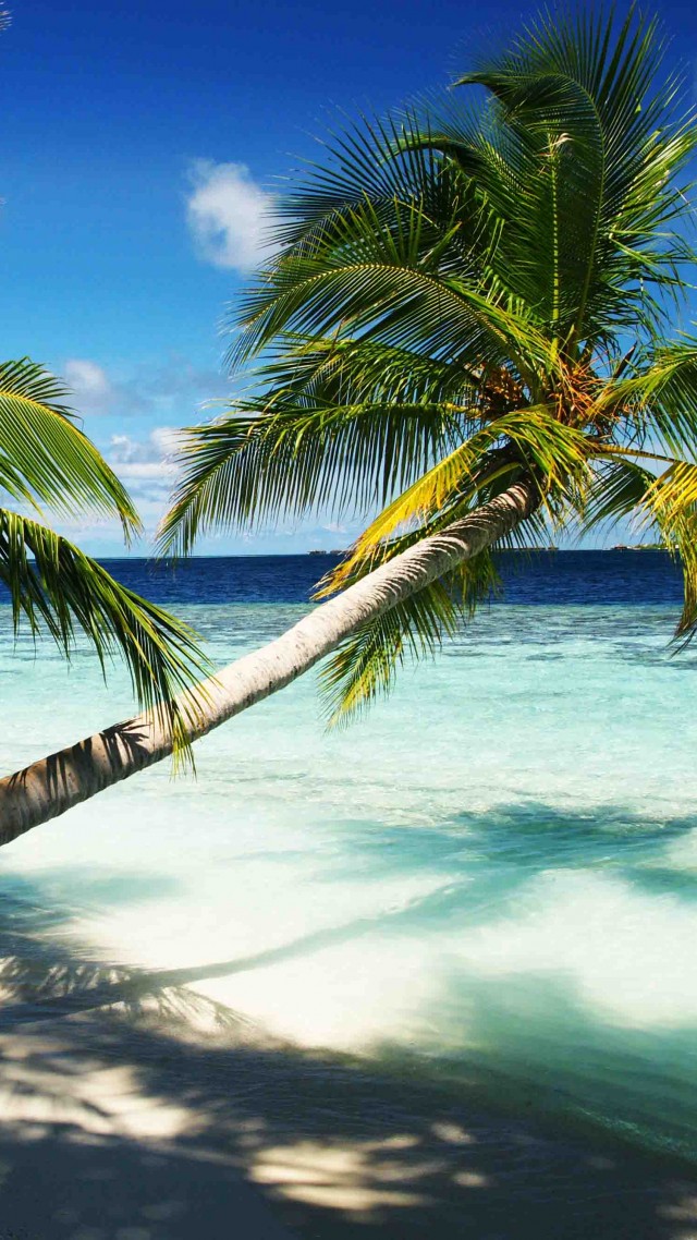 Maldives, 4k, 5k wallpaper, holidays, palms, paradise, vacation, travel, hotel, island, ocean, bungalow, beach, sky (vertical)