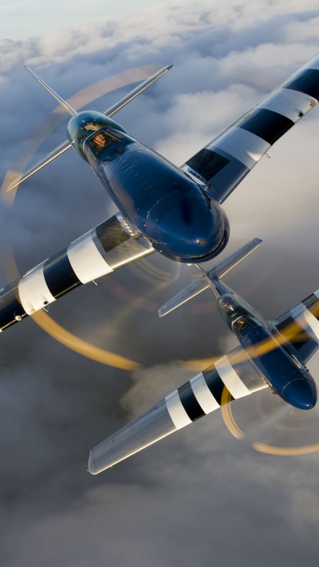 North American P-51 Mustang, fighter, US Army (vertical)