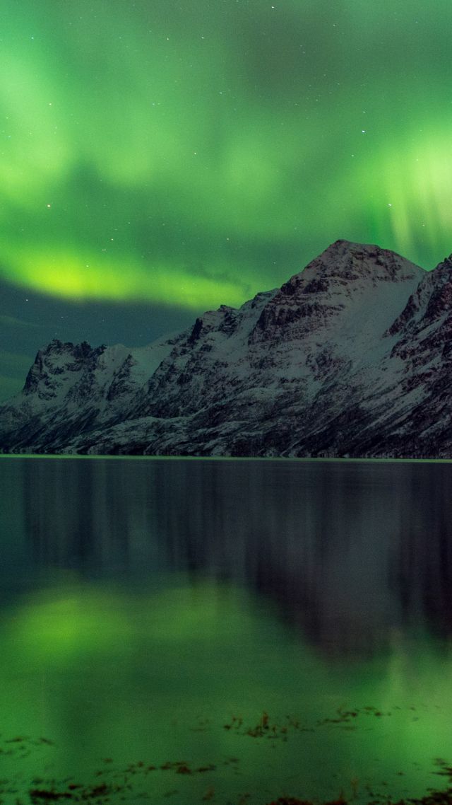 Aurora Borealis, 5k, 4k wallpaper, Abisko, Sweden, tourism, travel, green, lake, National Park (vertical)