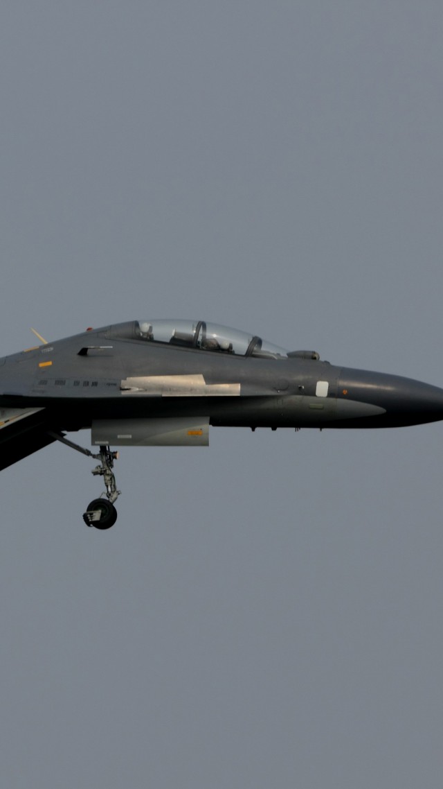 Shenyang J-11, China army, fighter aircraft, air force, China (vertical)