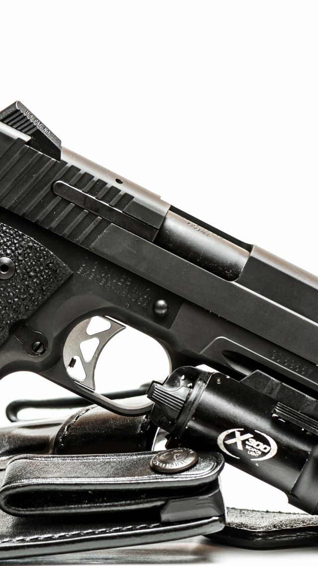 SIG Sauer P226, black, silencer, Germany (vertical)