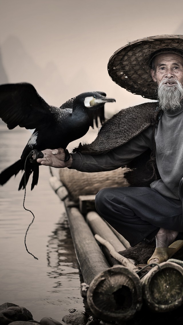 Cormorant, Li-River, Xingping, China, fishing village, bird, National Geographic Traveler Photo Contest (vertical)
