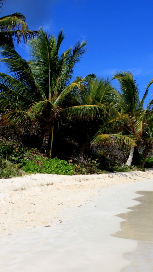 Flamenco Beach, Culebra, Puerto Rico, palms, Best beaches of 2016, Travellers Choice Awards 2016 (vertical)