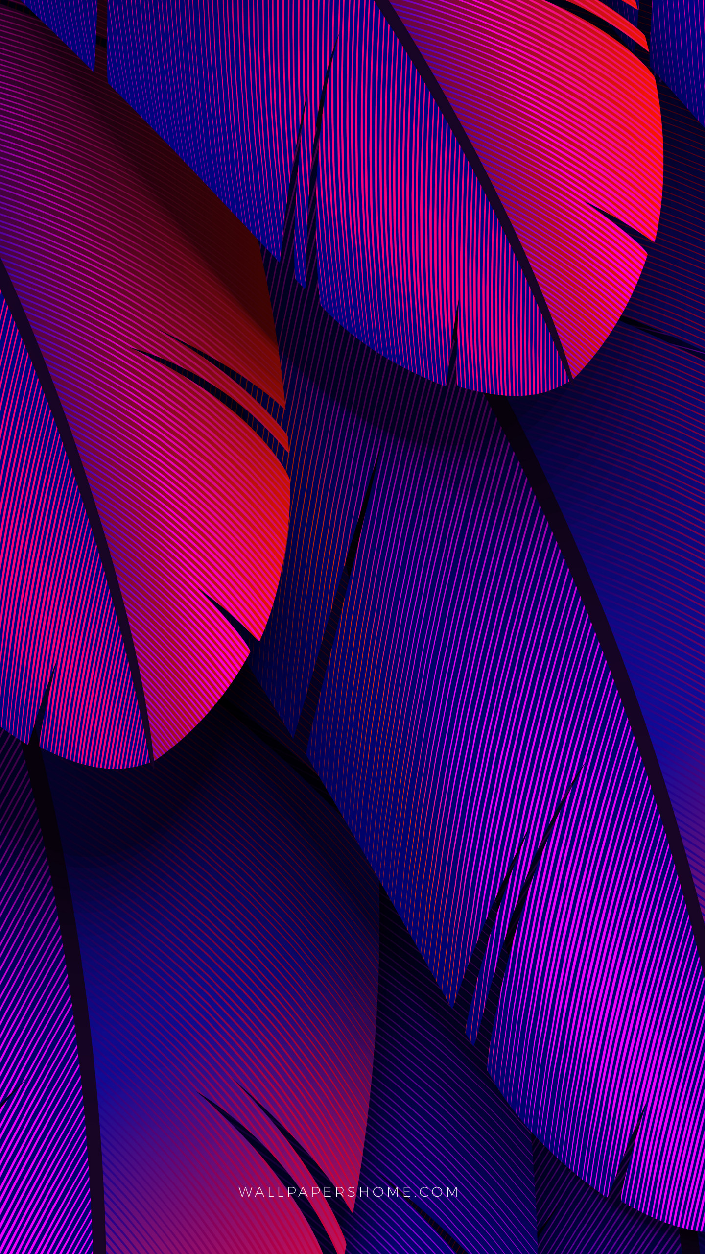 Wallpaper abstract, 3D, colorful, 8k, Abstract #21250