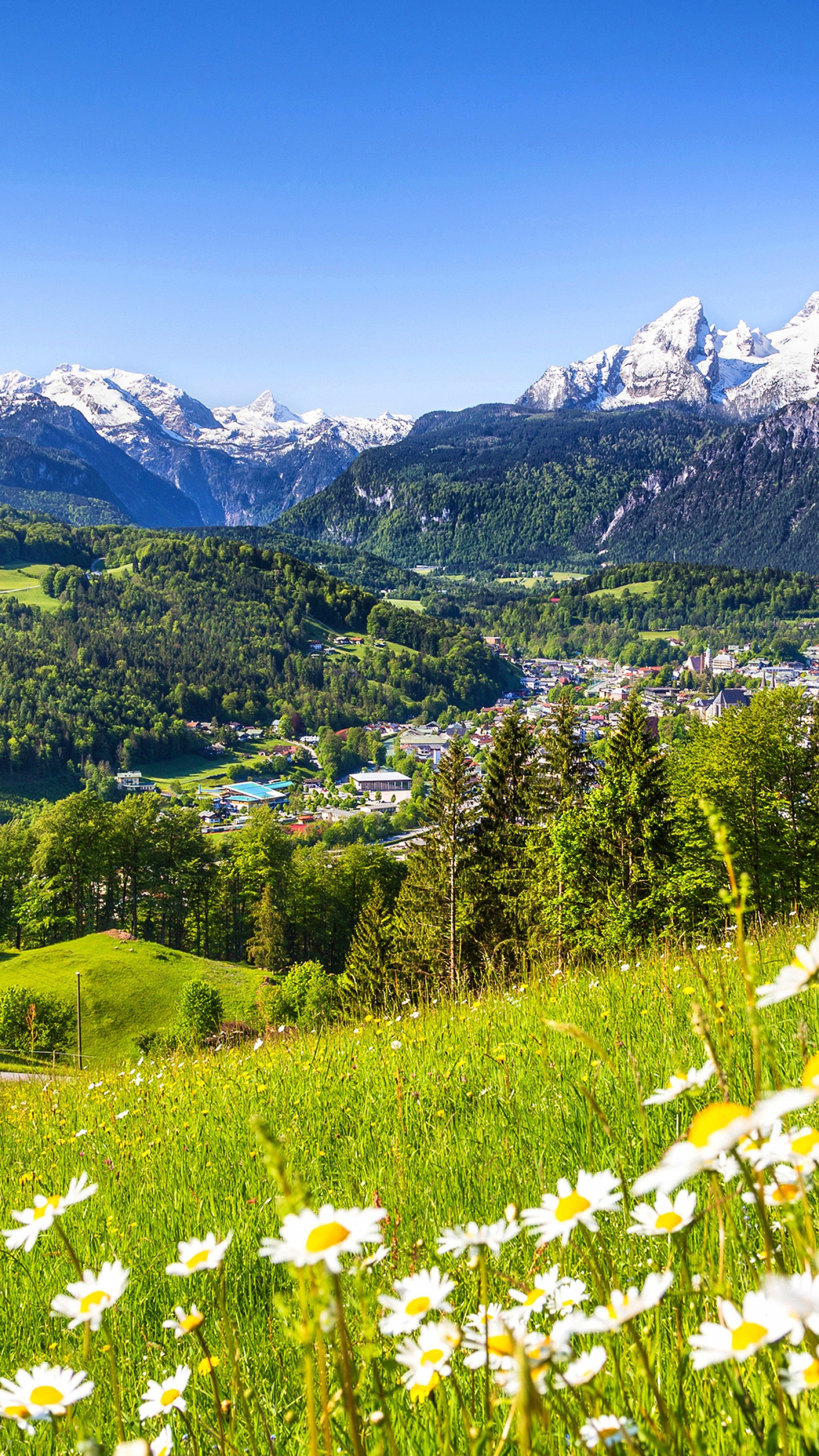 Wallpaper Alps, 5k, 4k wallpaper, Germany, Meadows, mountains, grass,  daisies, Nature #5524 - Page 4