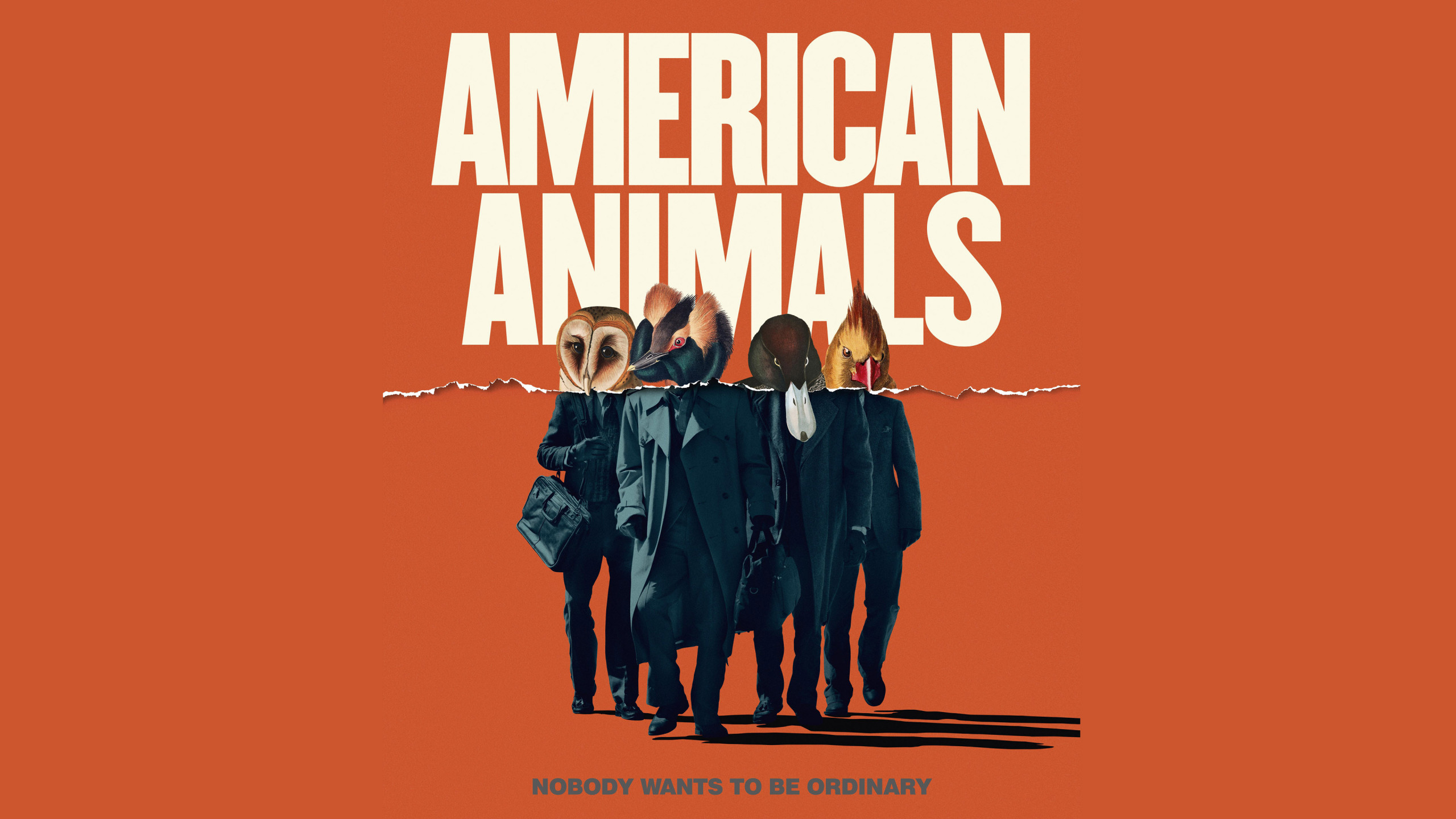Wallpaper American Animals, Ann Dowd, Evan Peters, Barry Keoghan, 4K, Movies #181002560 x 1440