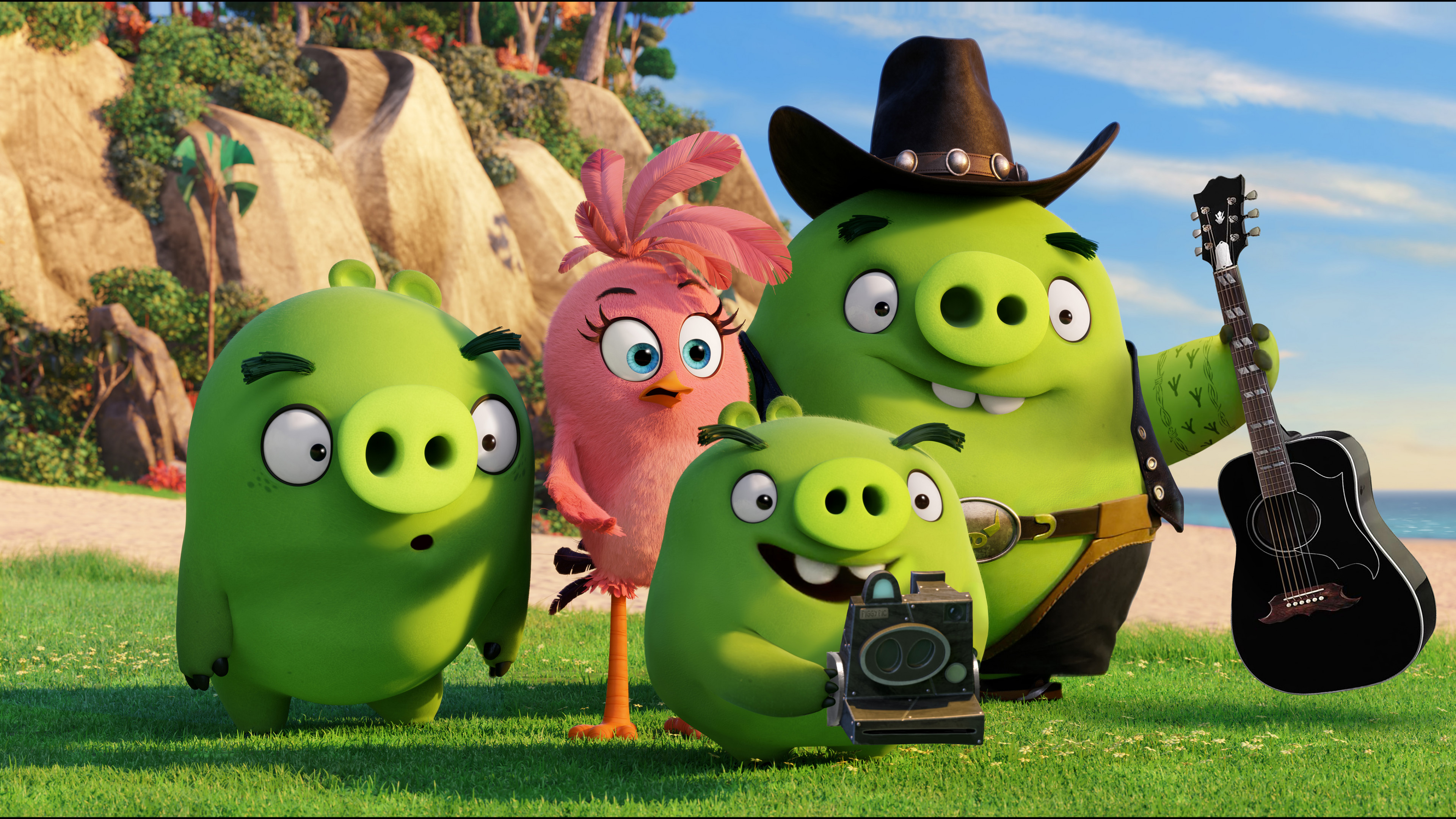 Wallpaper Angry Birds, Green pigs, family, Animation 2016, Movies #8983
