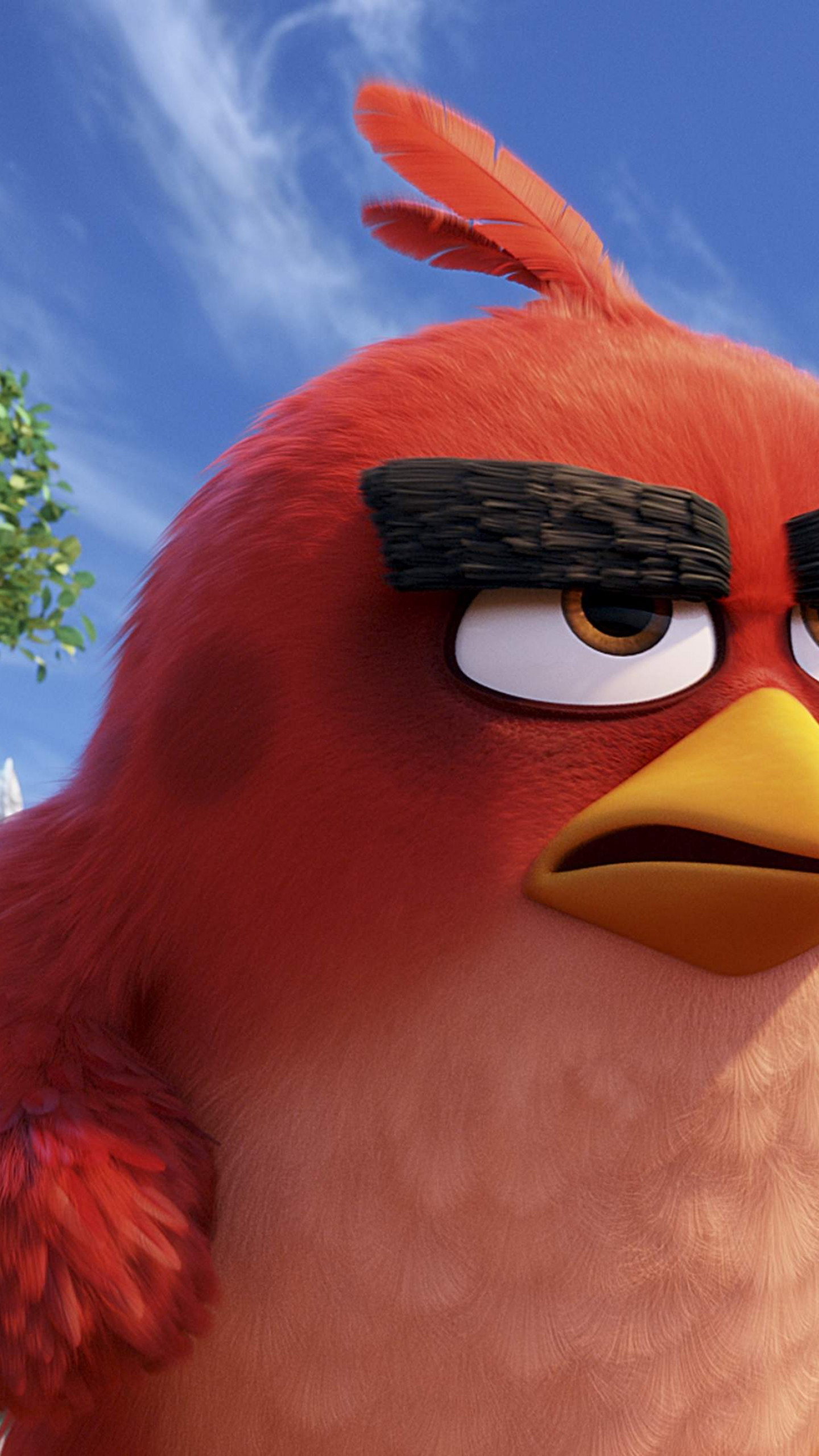 angry birds movies animation wallpapers wallpapershome