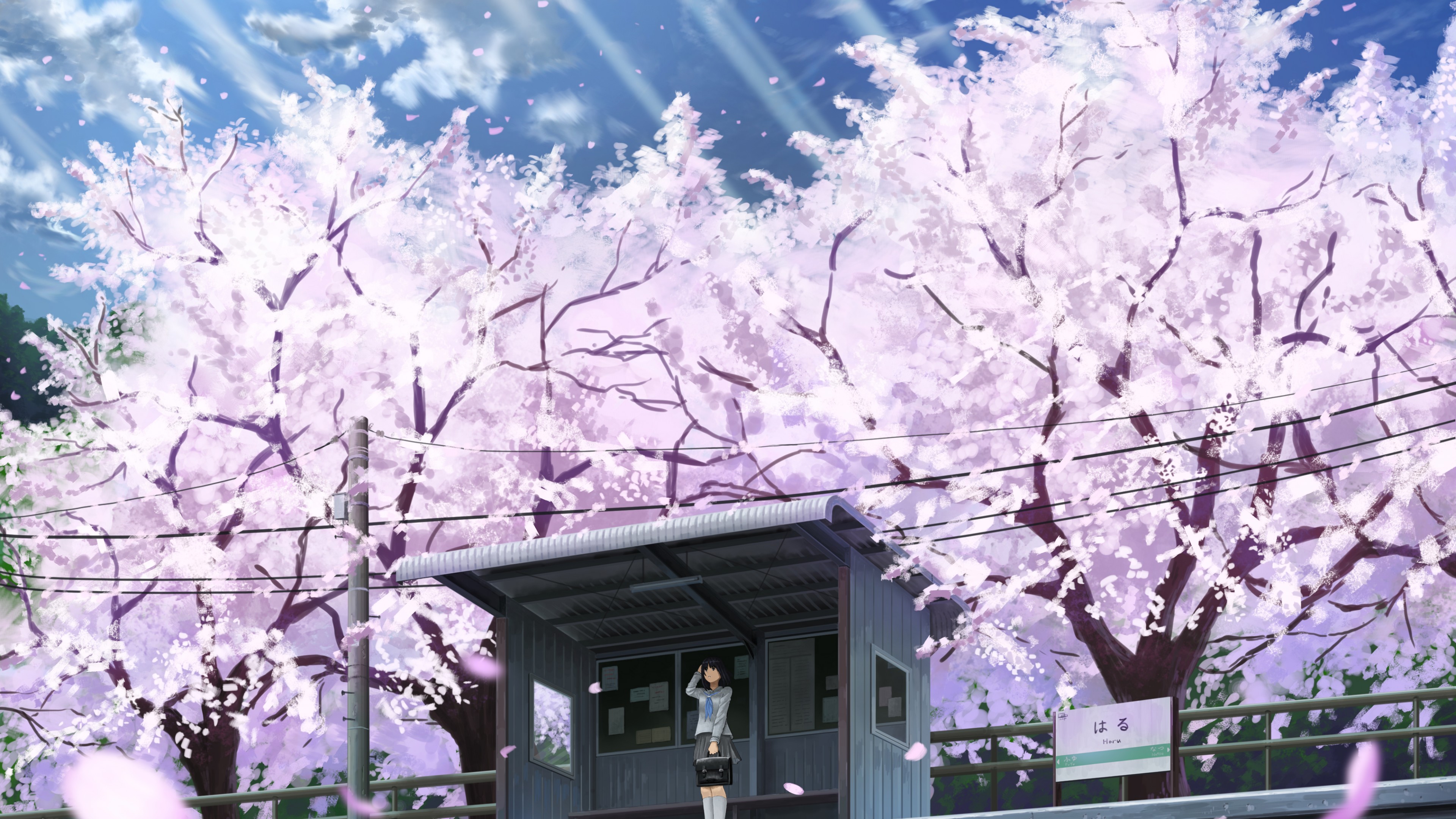 14+ Anime Flower 4k Wallpaper - Orochi Wallpaper