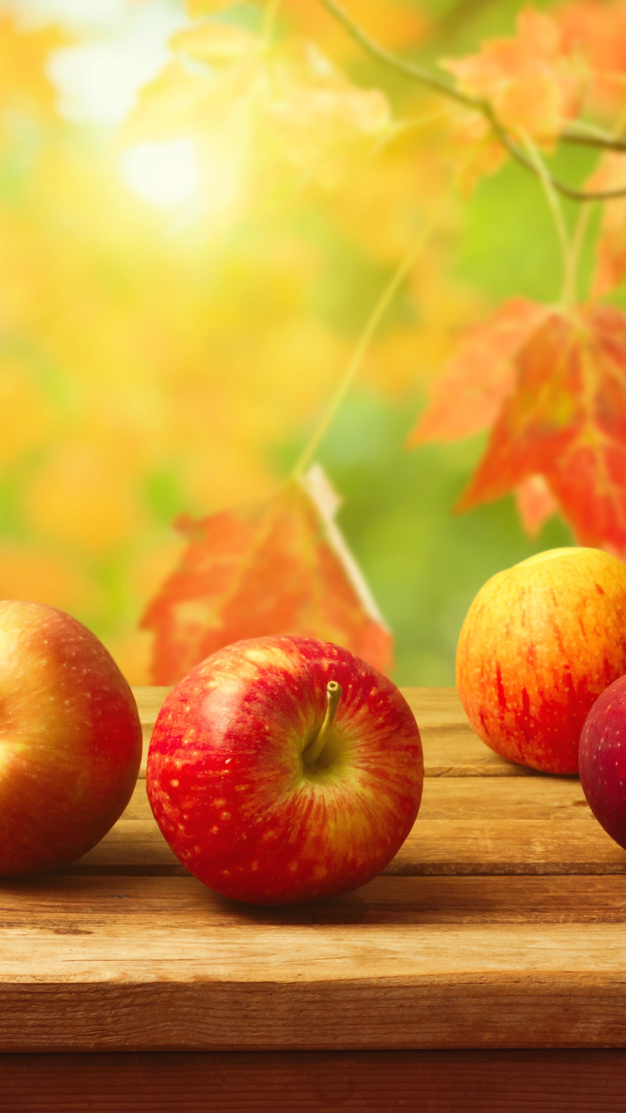 Wallpaper apple, fruit, autumn, 4k, Food #16216