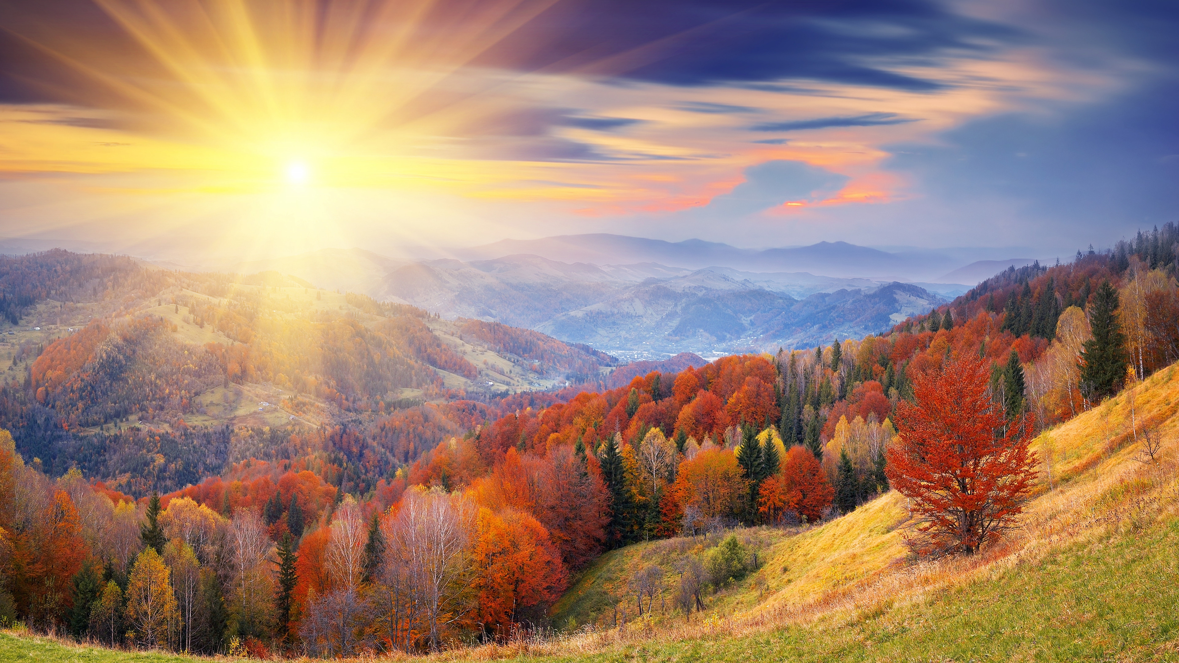 Wallpaper autumn, 4k, HD wallpaper, 8k, trees, dawn, mount, coloring,  Nature #11988