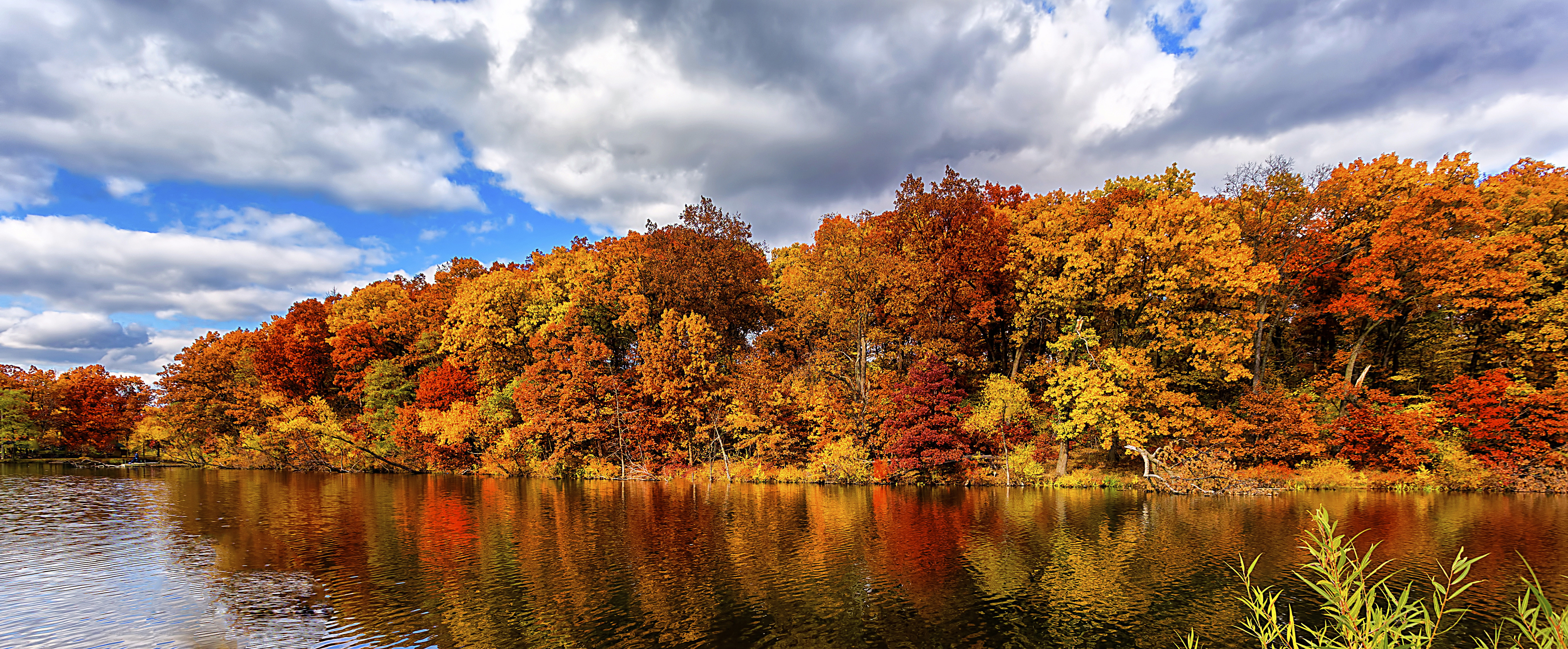 Wallpaper autumn, forest, lake, 5k, Nature #15480