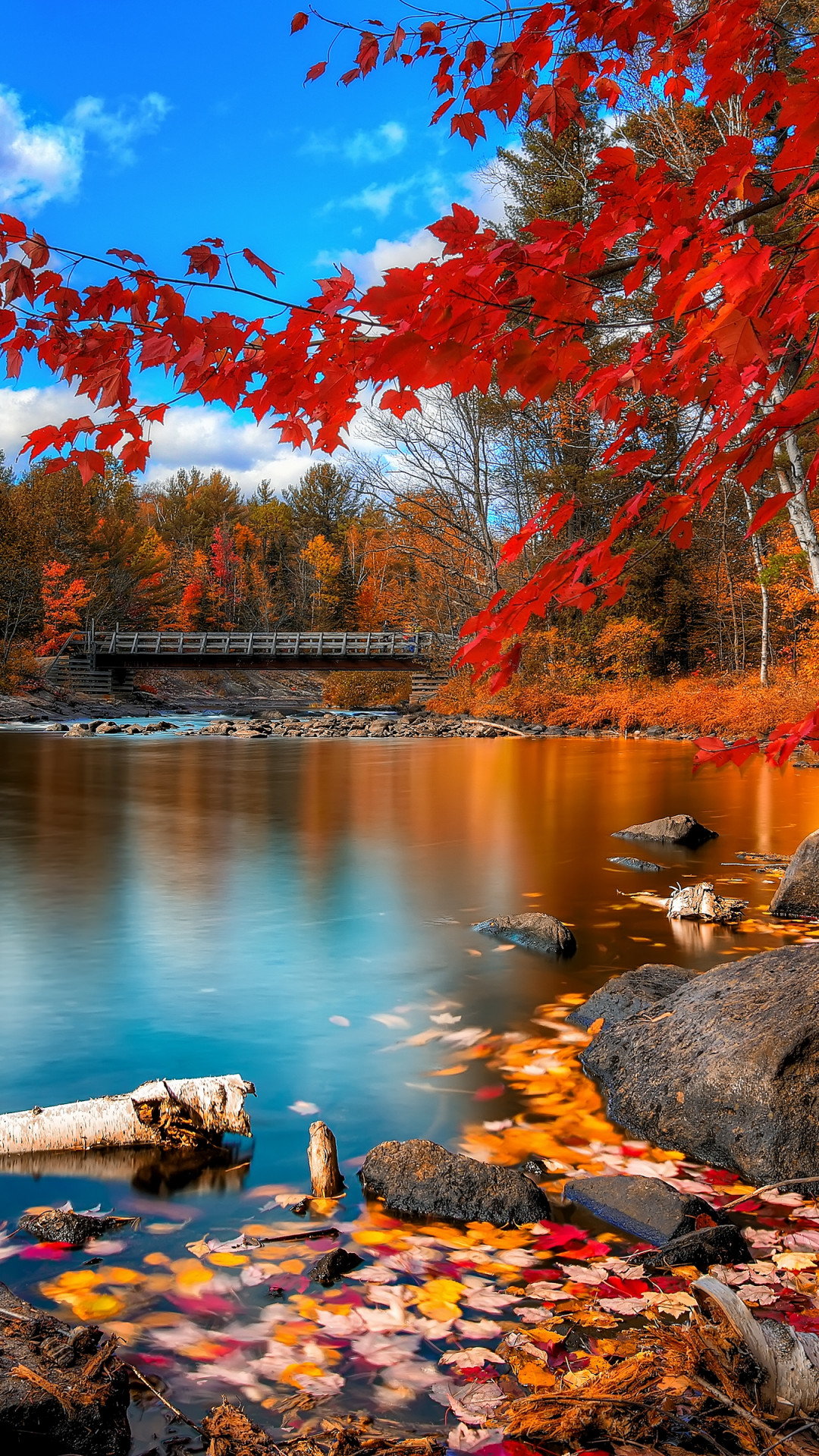 Wallpaper autumn forest, 4k, HD wallpaper, leaves, trees, lake, rocks,  beach, bridge, sky, clouds, Nature #578