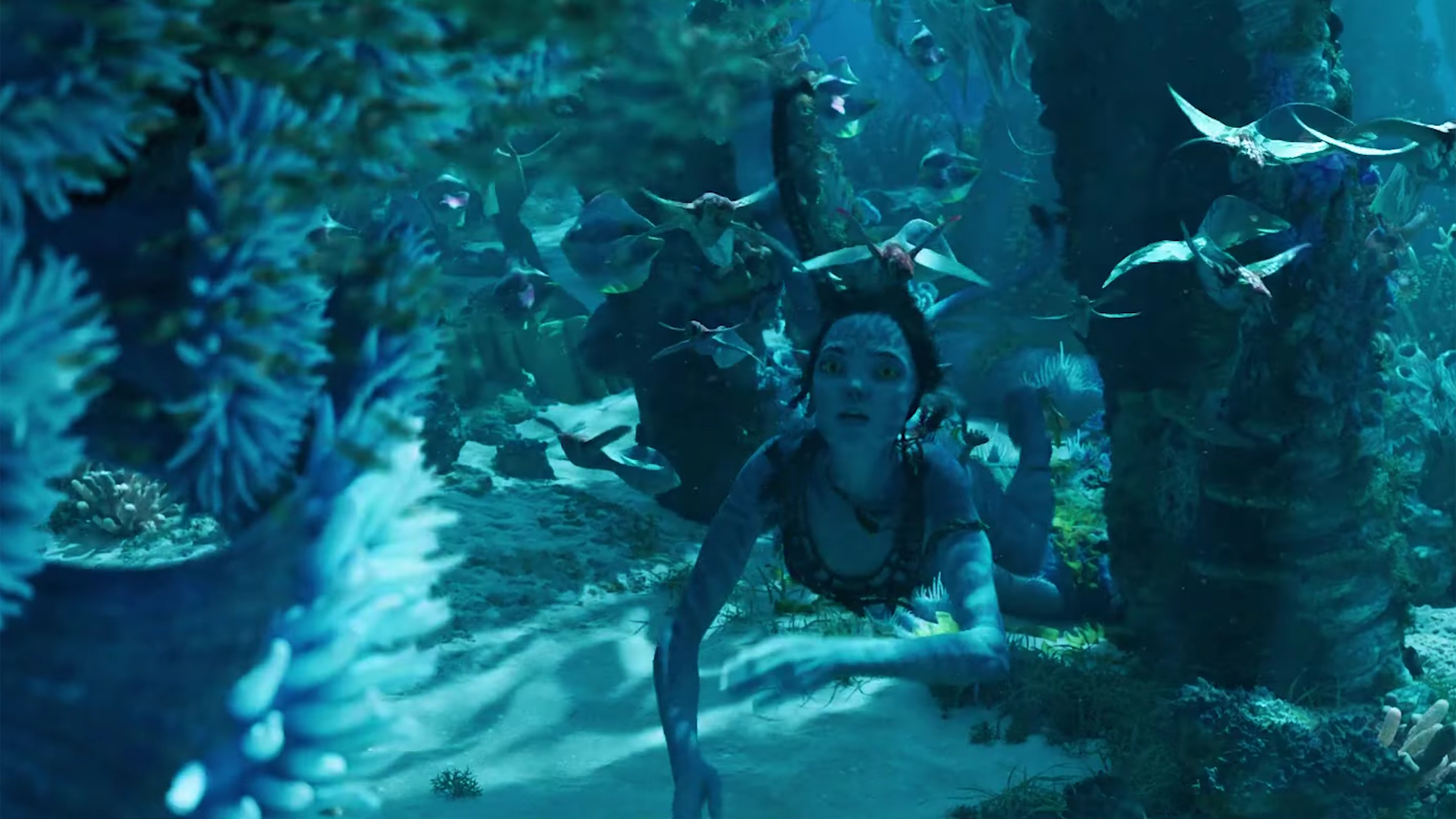 Wallpaper Avatar 2 The Way of Water, 4k, trailer, Movies #23985 - Page 4