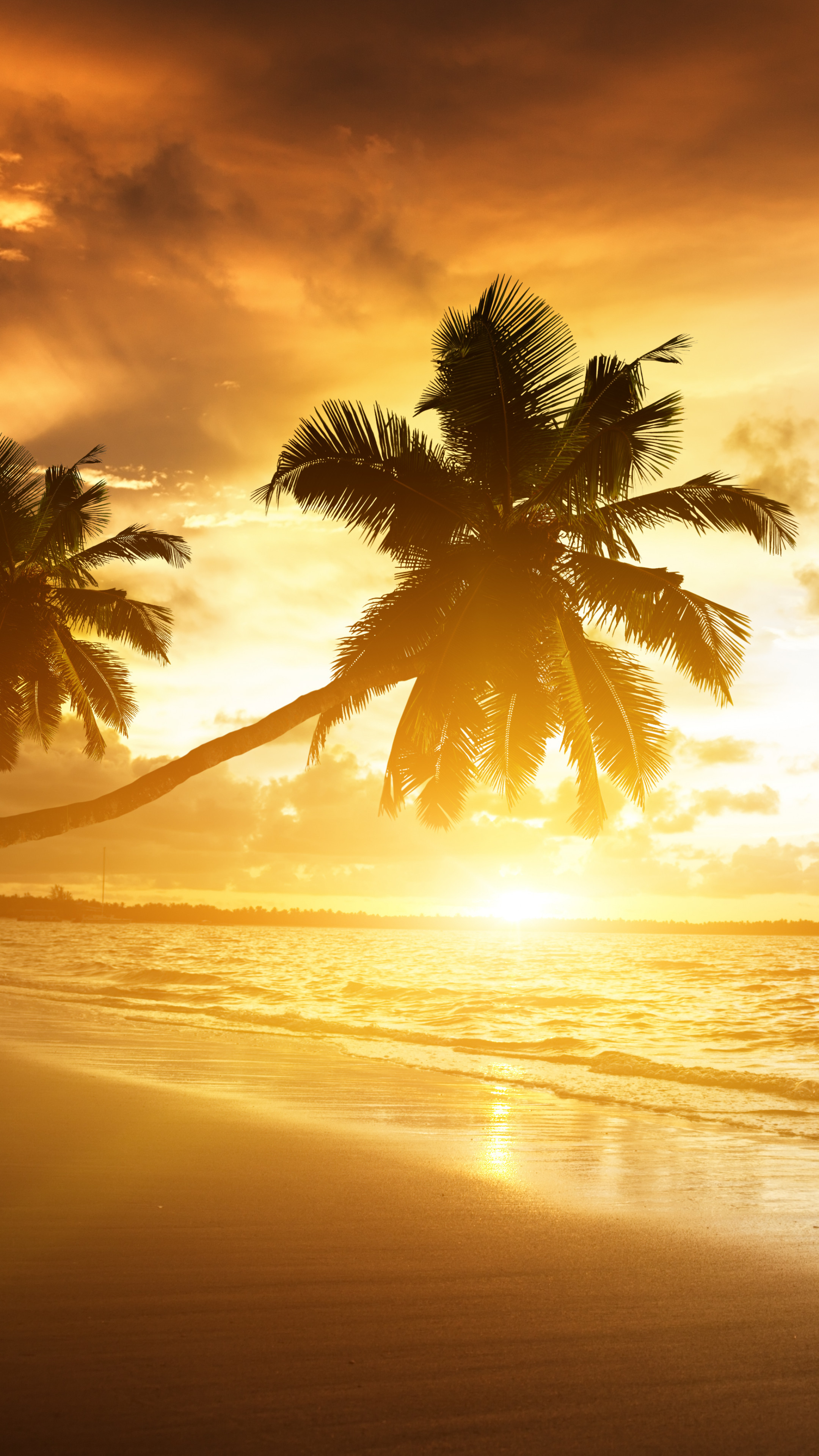 Premium Photo  Silhouette of palm trees beautiful sunset on the tropical  sea beach background for travel in summer