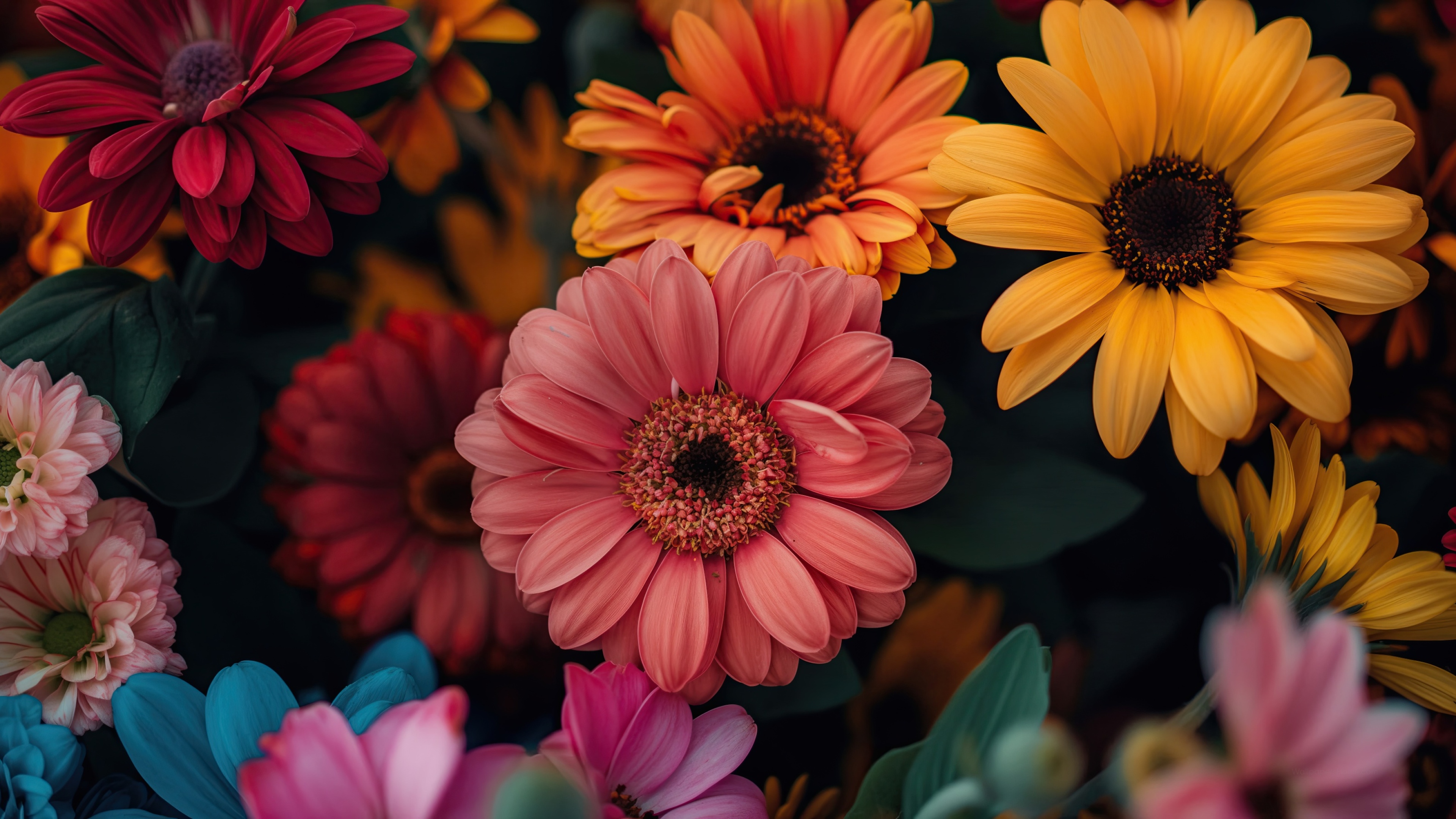 Nature Flower Images Hd Wallpapers Infoupdate