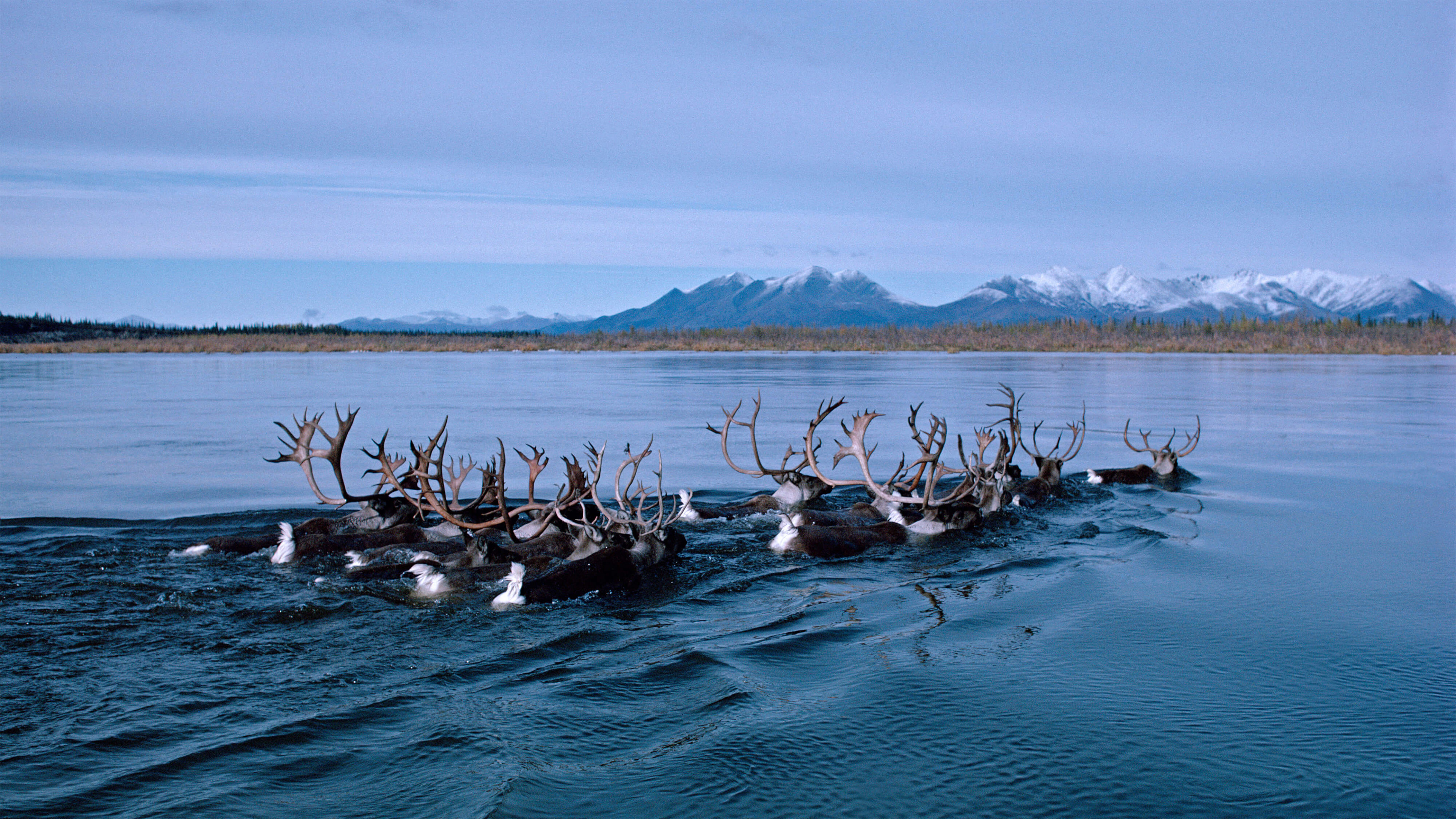 Alaska Wallpapers HD Alaska Backgrounds Free Images Download