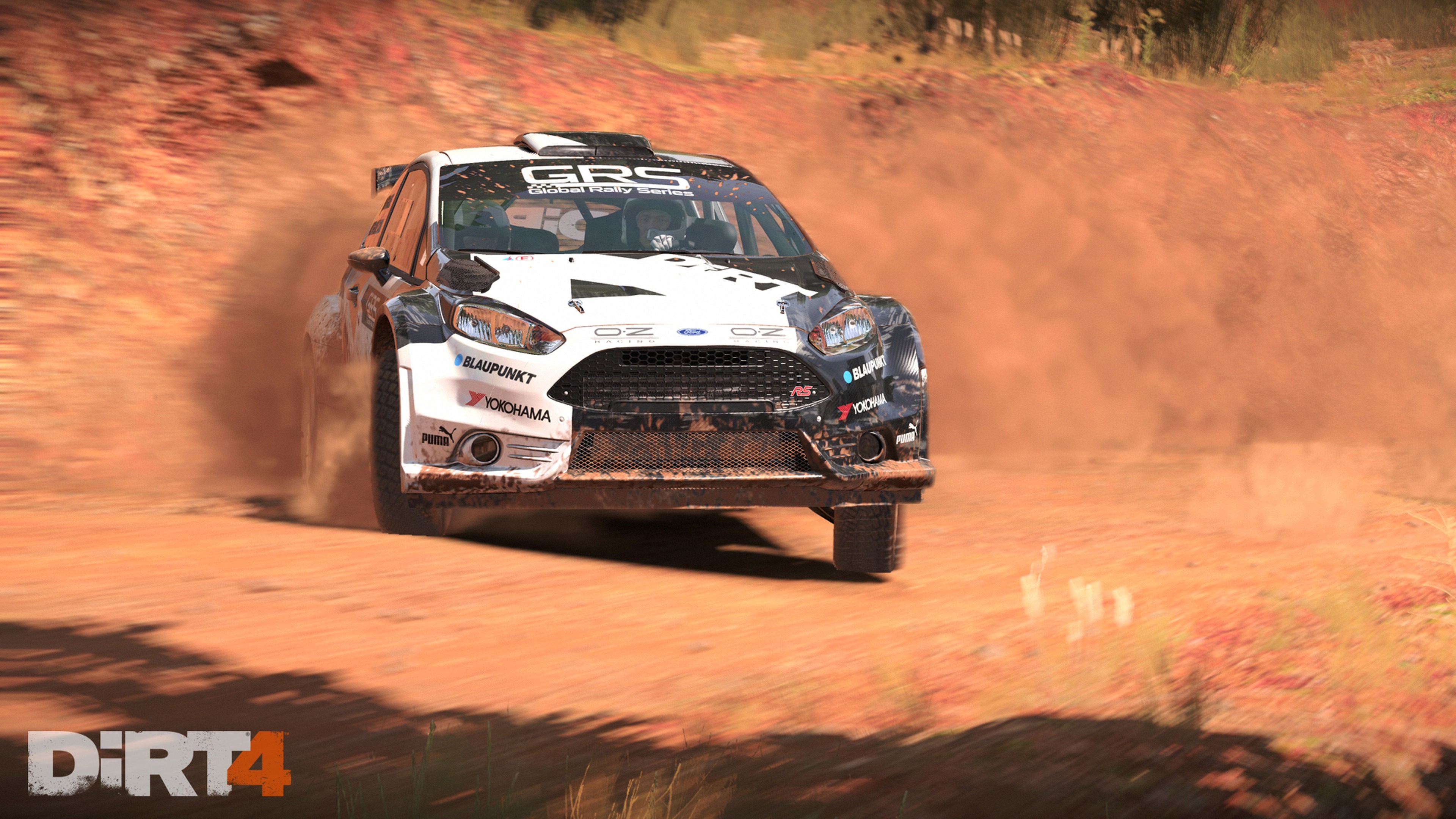 Dirt track racing video game
