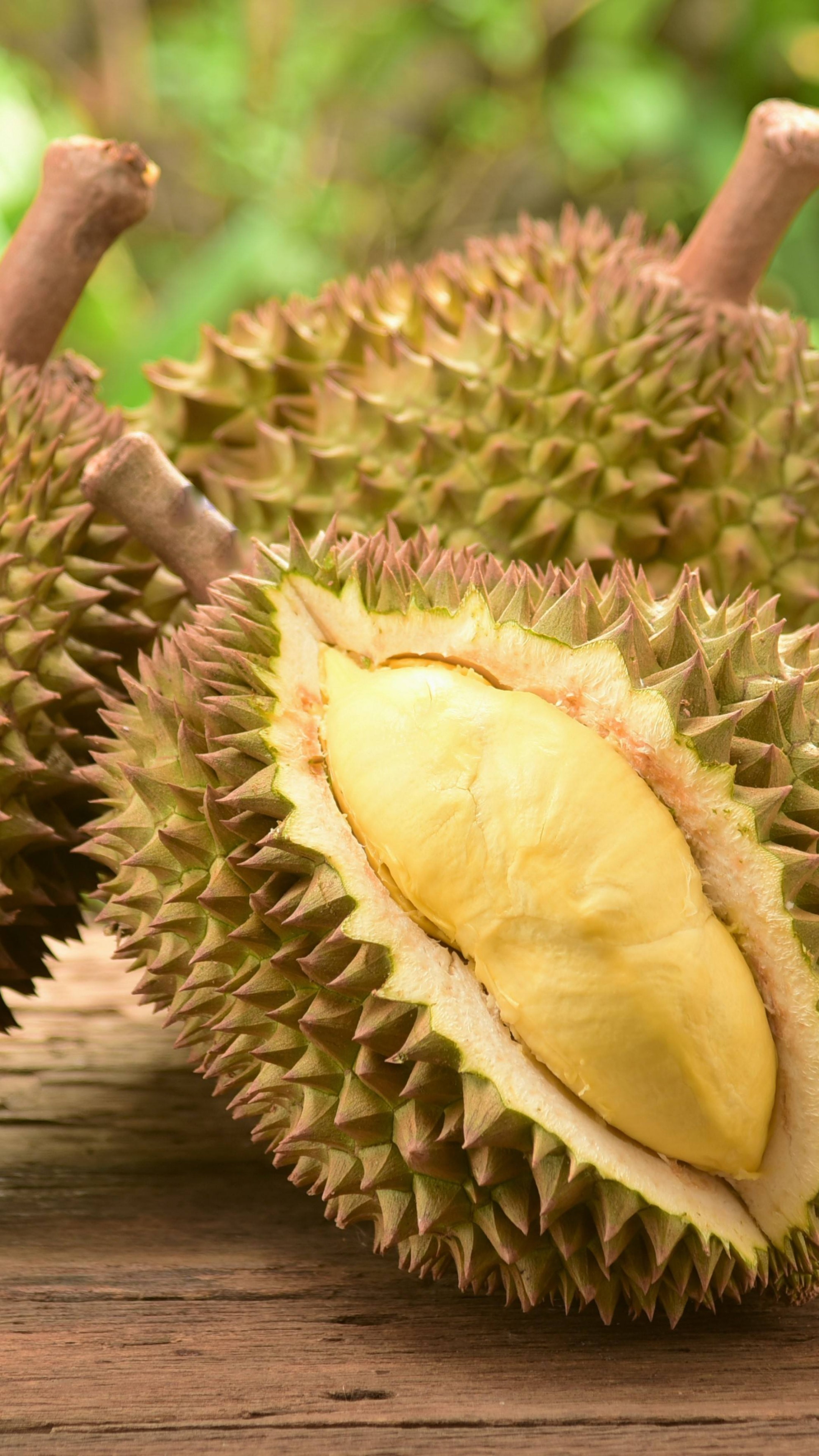 Wallpaper durian, fruit, 5k, Food 15342