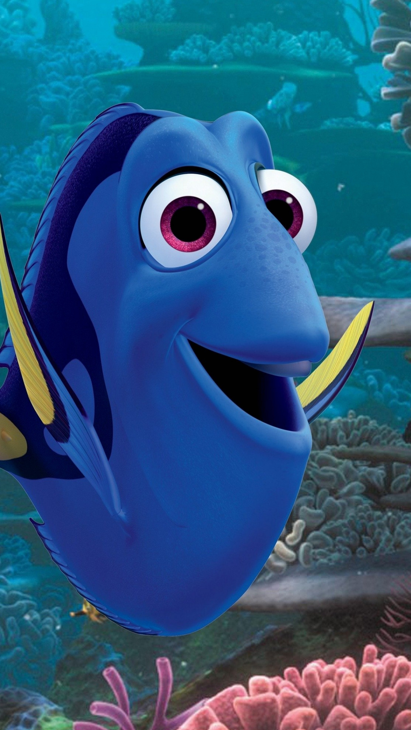 Wallpaper Finding Dory, nemo, fish, Pixar, animation, Movies #8014
