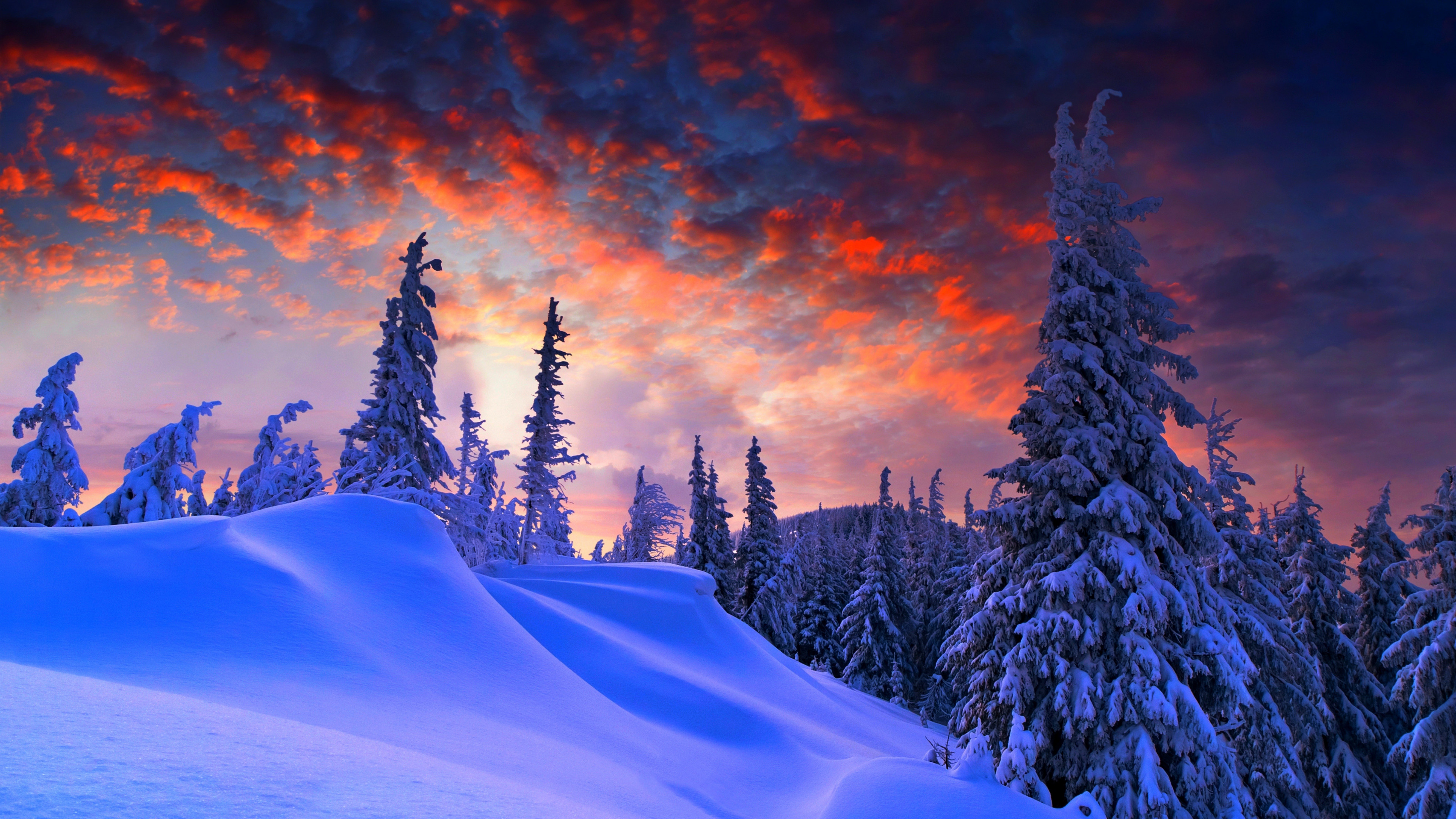 Wallpaper forest, snow, winter, sunrise, clouds, 8k, Nature #17357