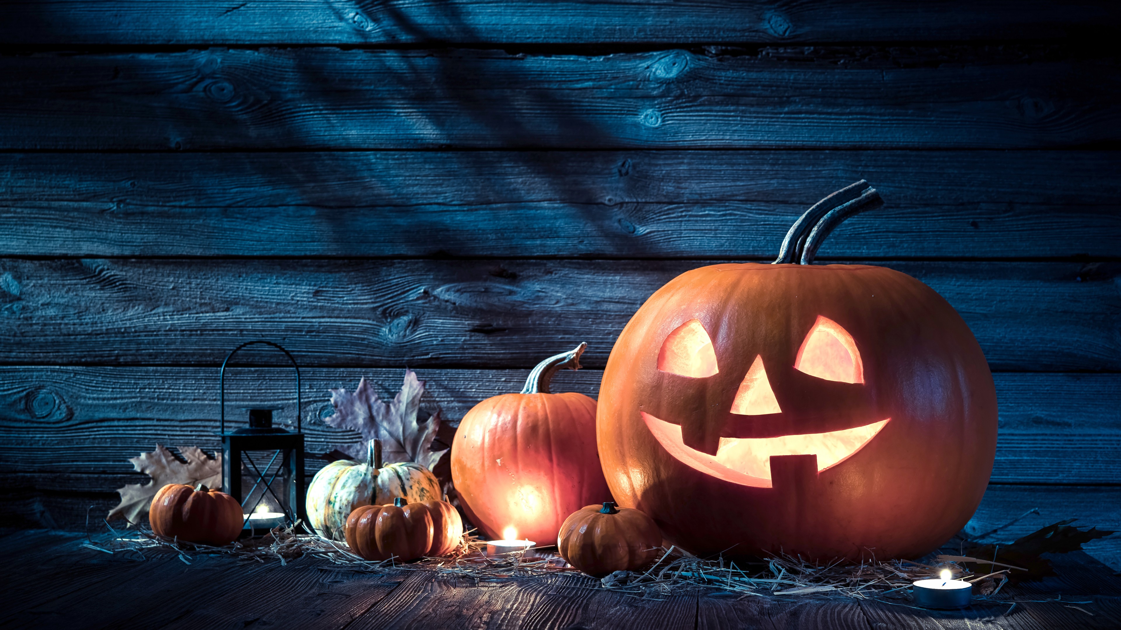 Wallpaper Holiday, Halloween, 31 october, pumpkin host, Holidays 12311