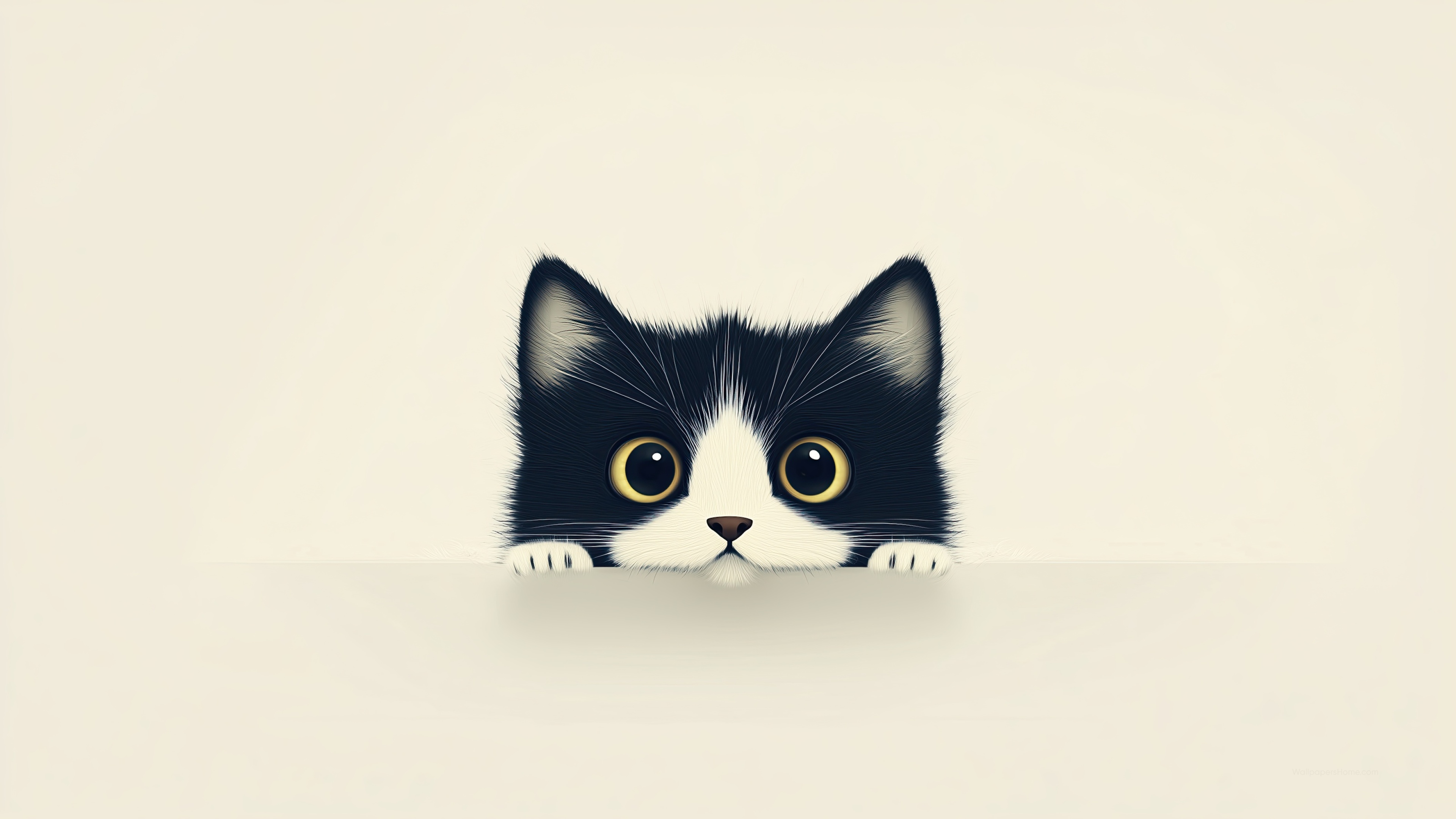 Cute Cat Wallpaper For Laptop Aesthetic Infoupdate