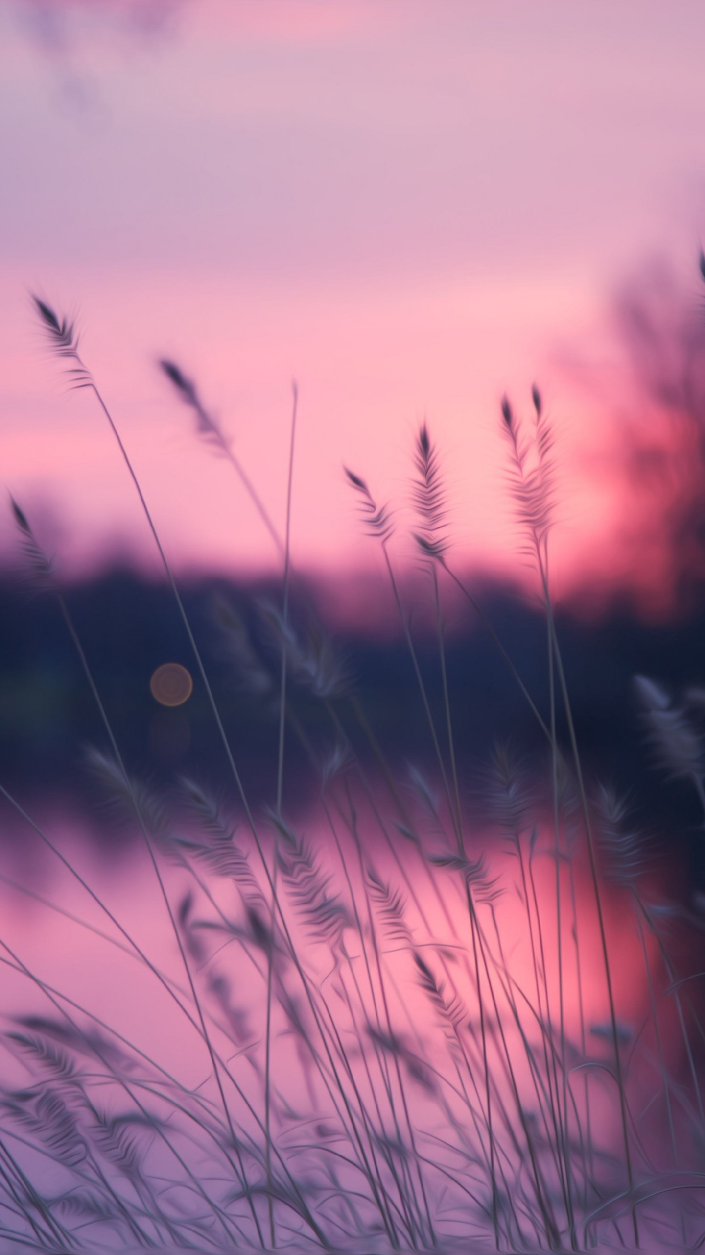 Wallpaper Lake, 4k, HD wallpaper, grass, sunset, purple, Nature #5173