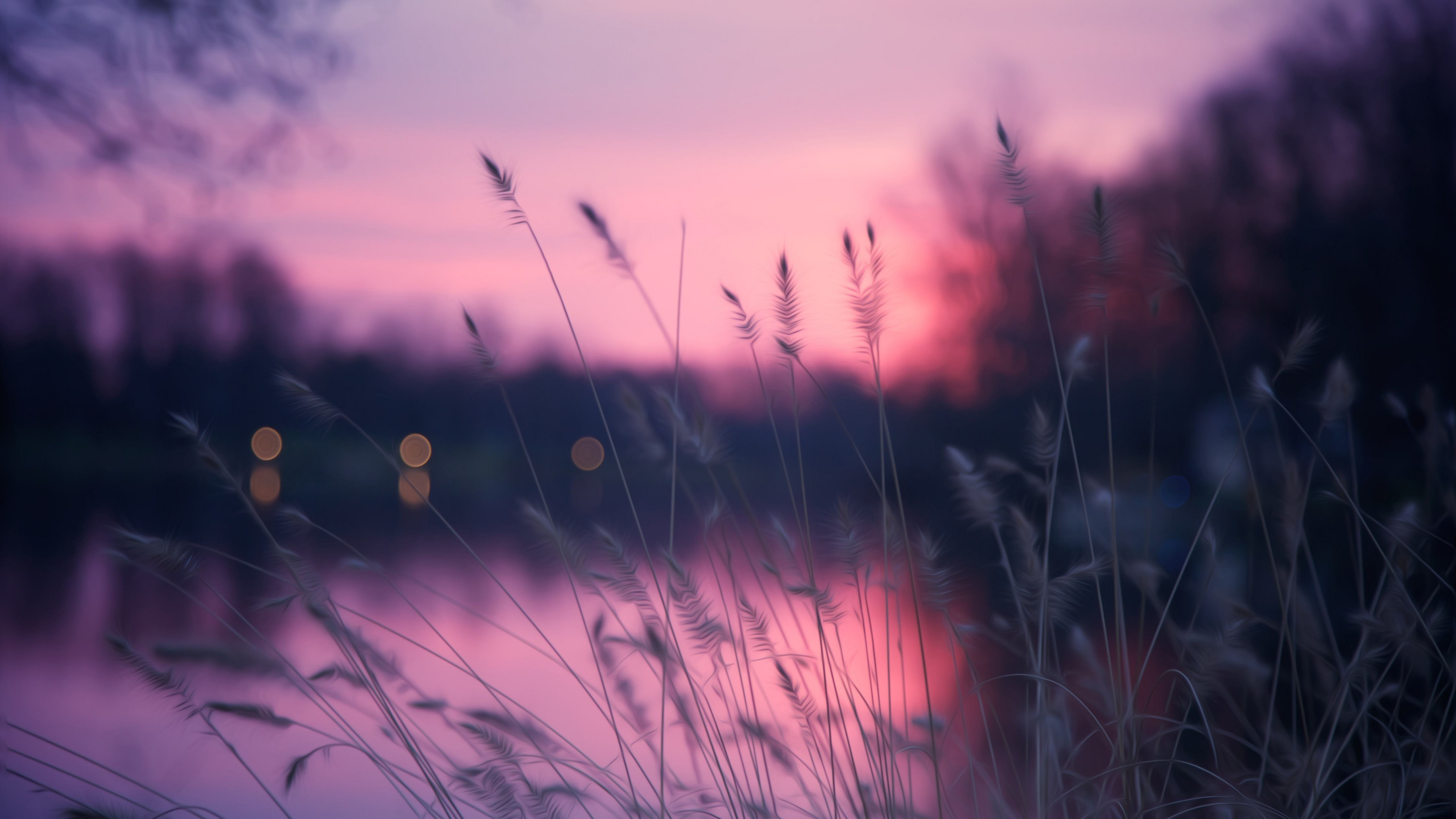 Wallpaper Lake, 4k, HD wallpaper, grass, sunset, purple, Nature #5173 -  Page 3