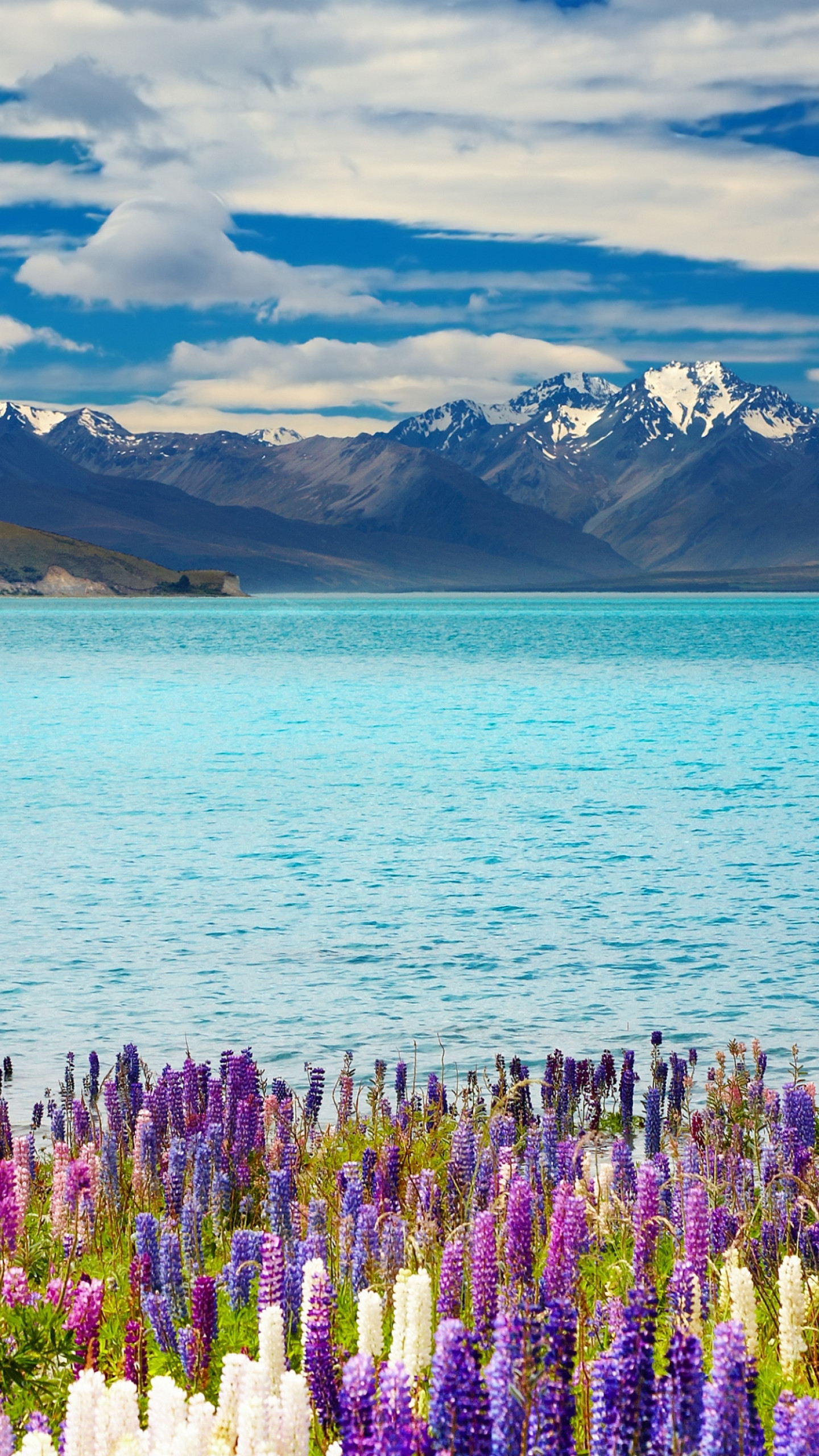 Wallpaper Lake Tekapo, New Zealand, mountains, flower, 4k, Nature #16350