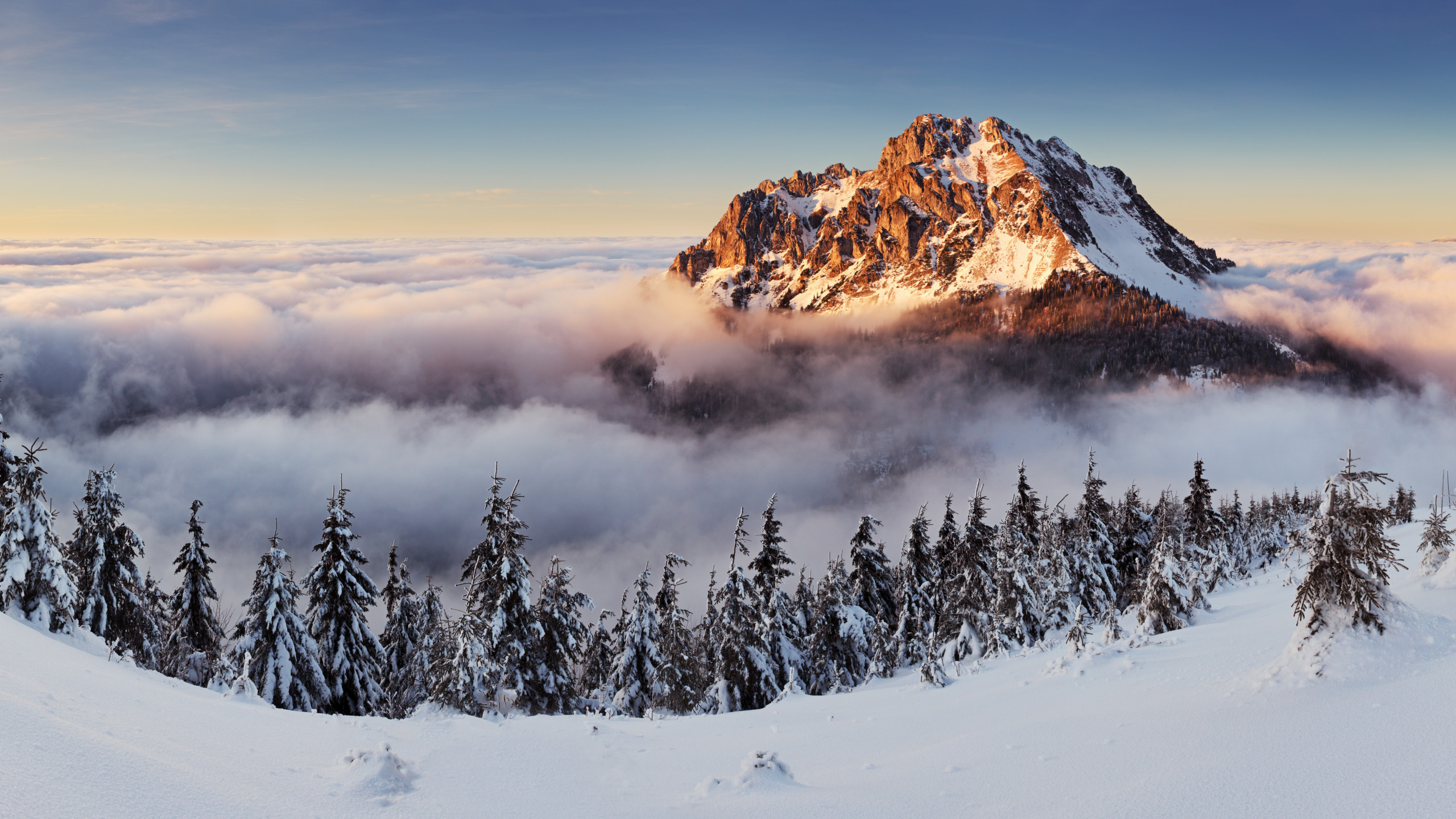 Wallpaper mountains, forest, snow, winter, fog, 8k, Nature #17392