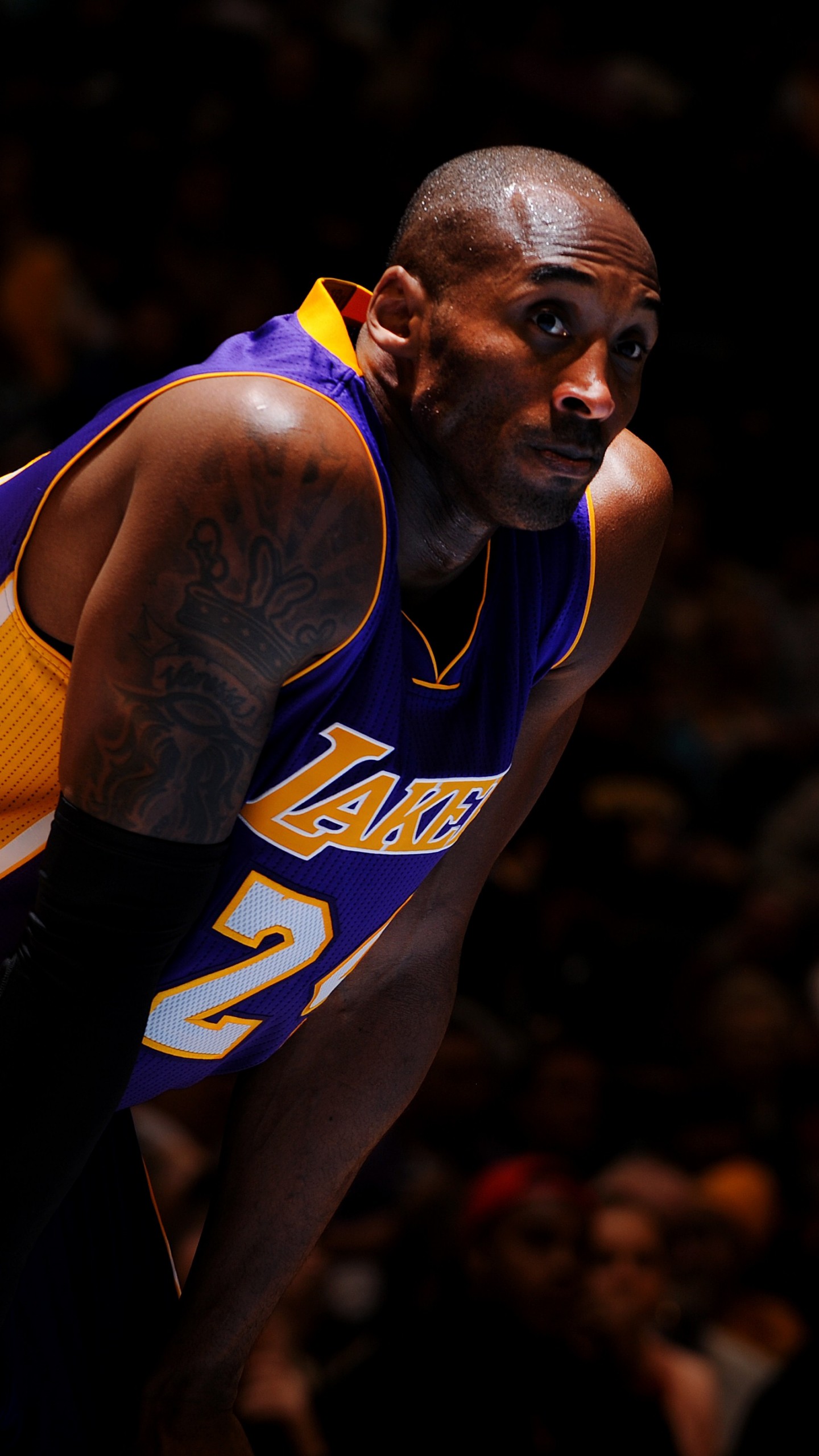 Wallpaper NBA Kobe Bryant Best Basketball Players of 2015 Los Angeles  Lakers basketball player Shooting guard Sport 2887