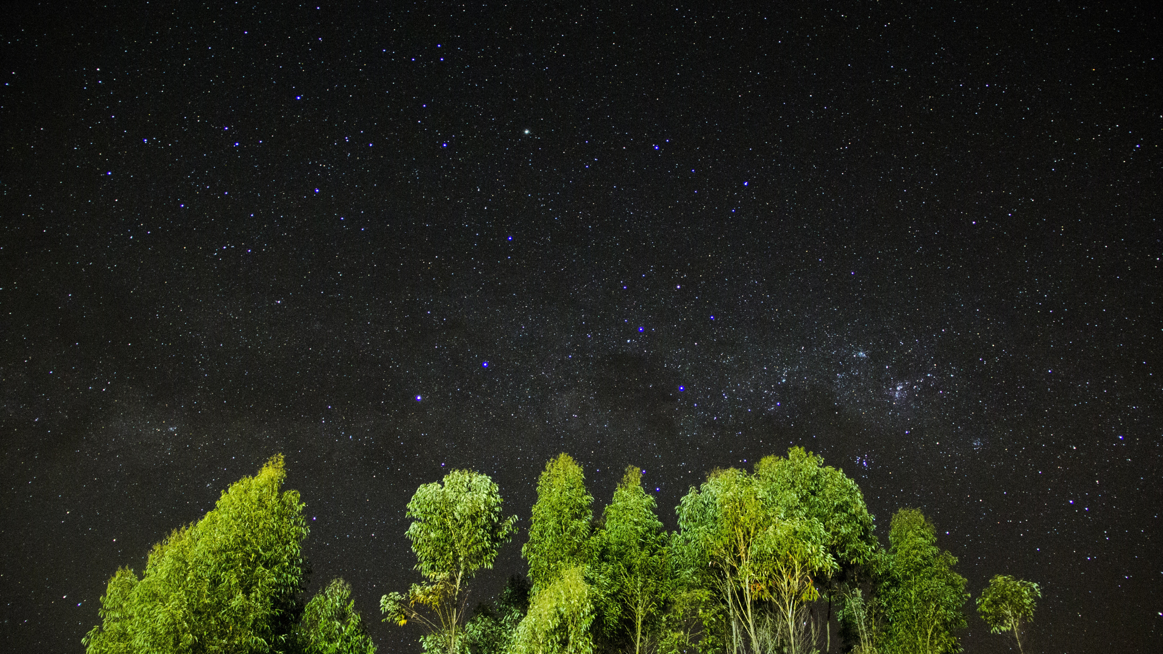 Wallpaper night, stars, sky, trees, 4k, Nature #16014