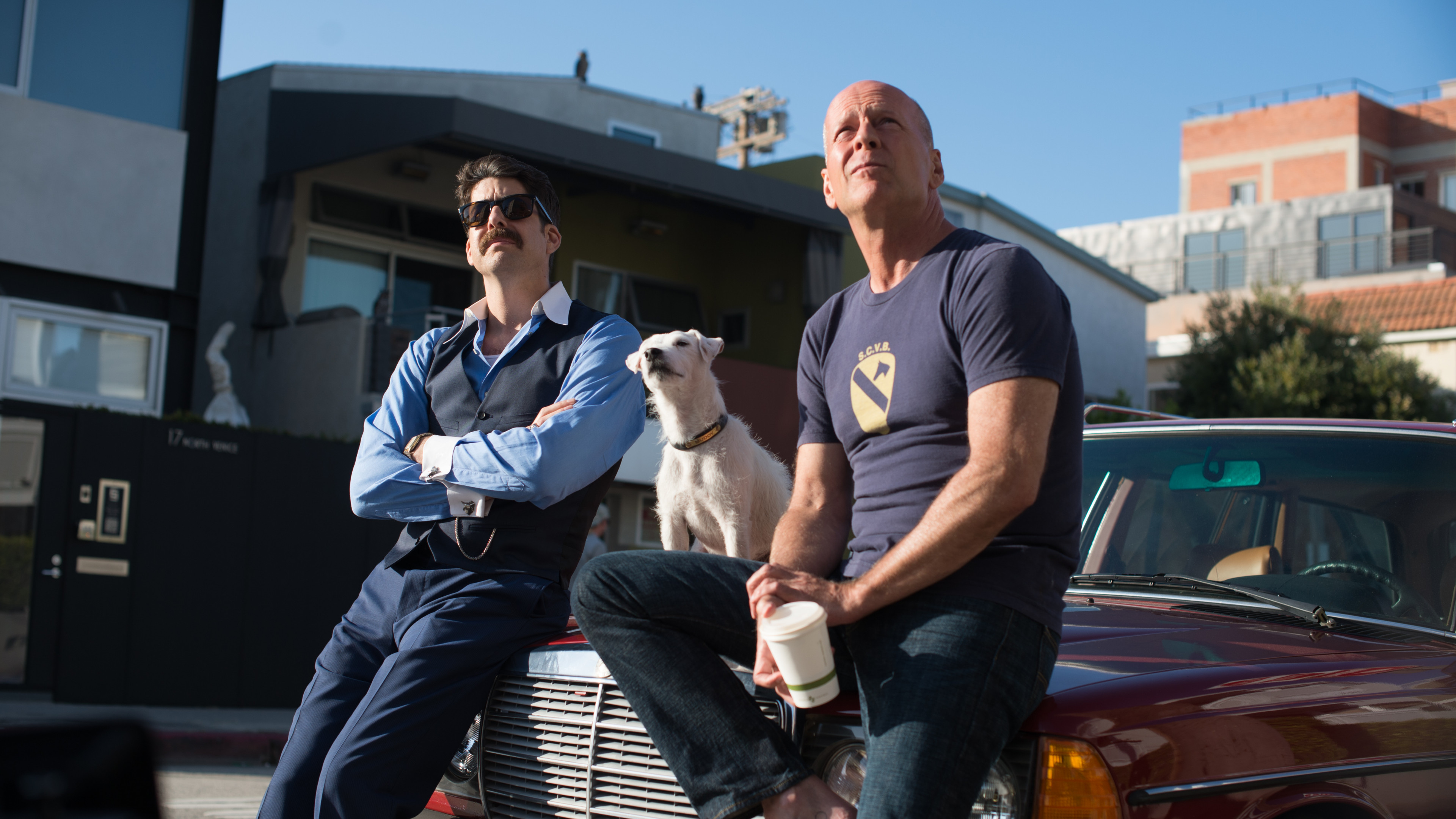 Wallpaper Once Upon a Time in Venice, Bruce Willis, Adam Goldberg, dog